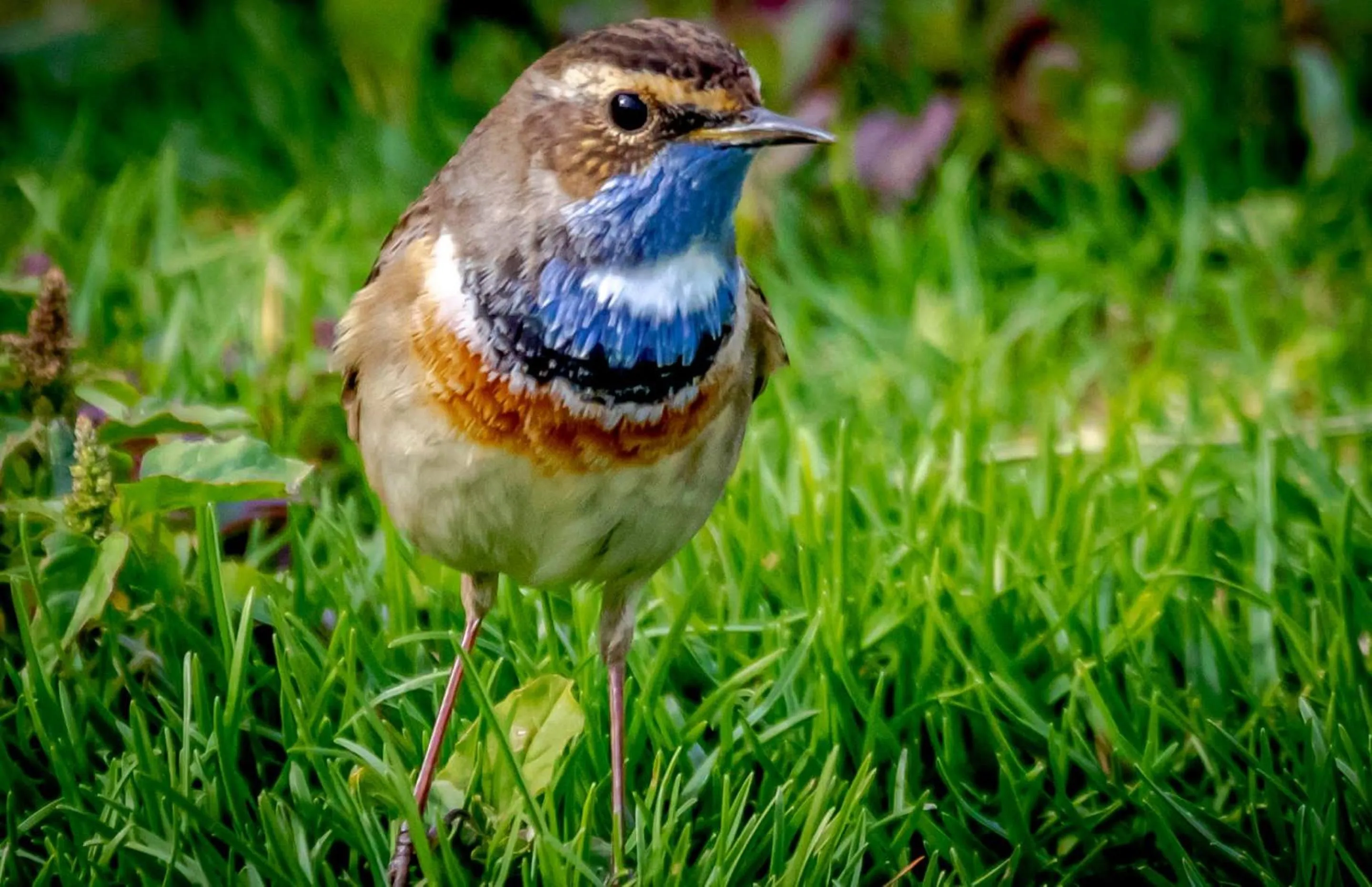 Spring in Silver Beach Boutique Hotel