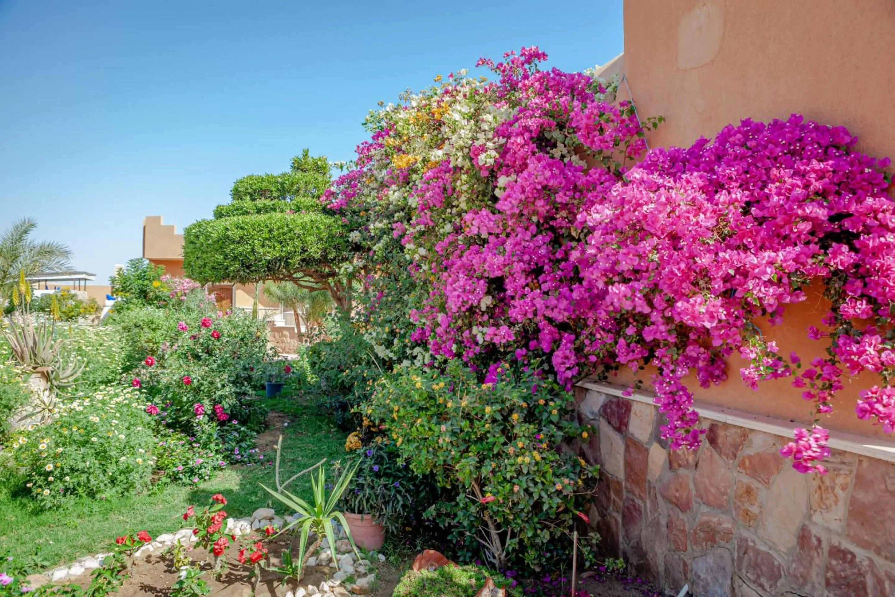 Natural landscape in Silver Beach Boutique Hotel