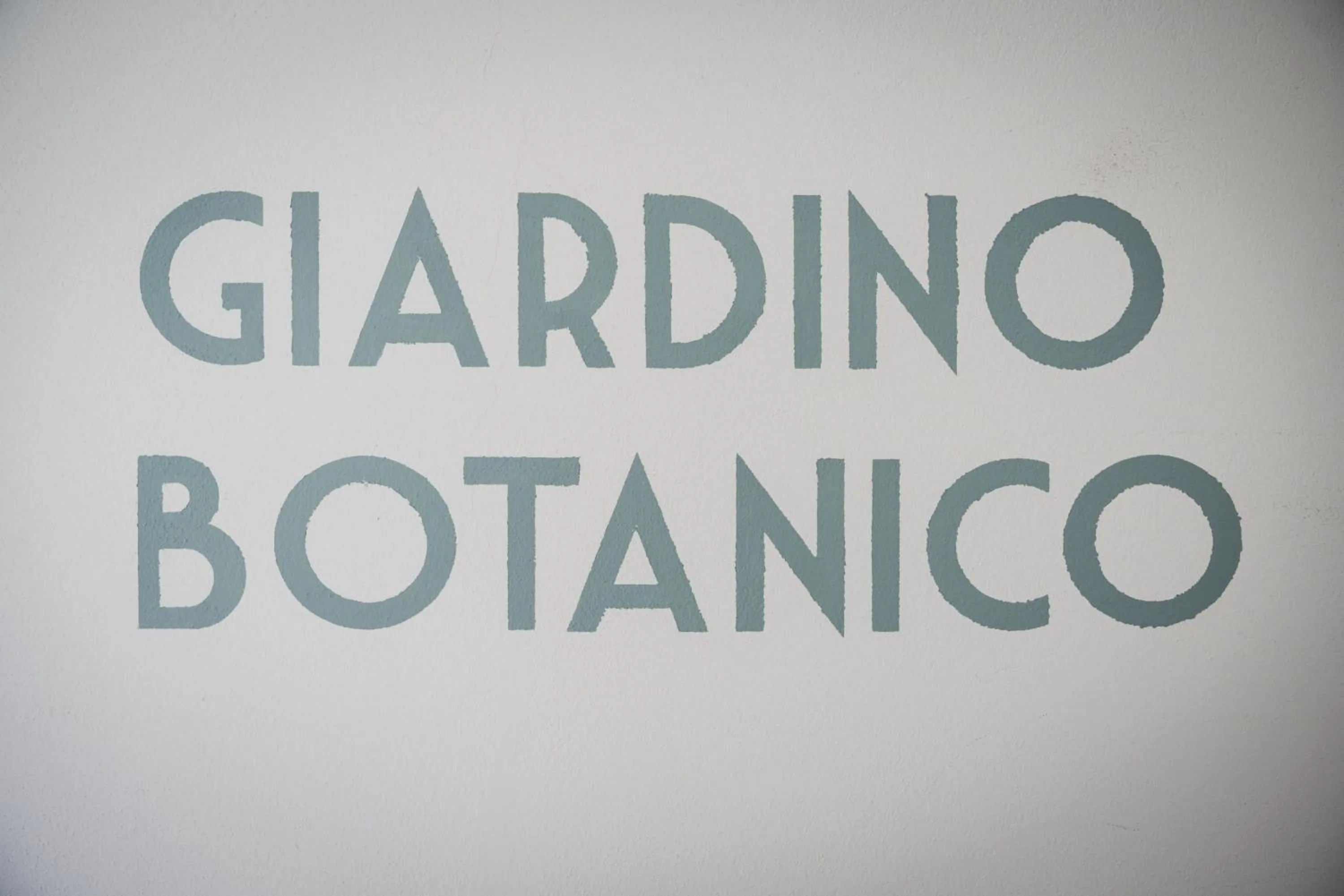 Garden in Hotel Roxy & Beach