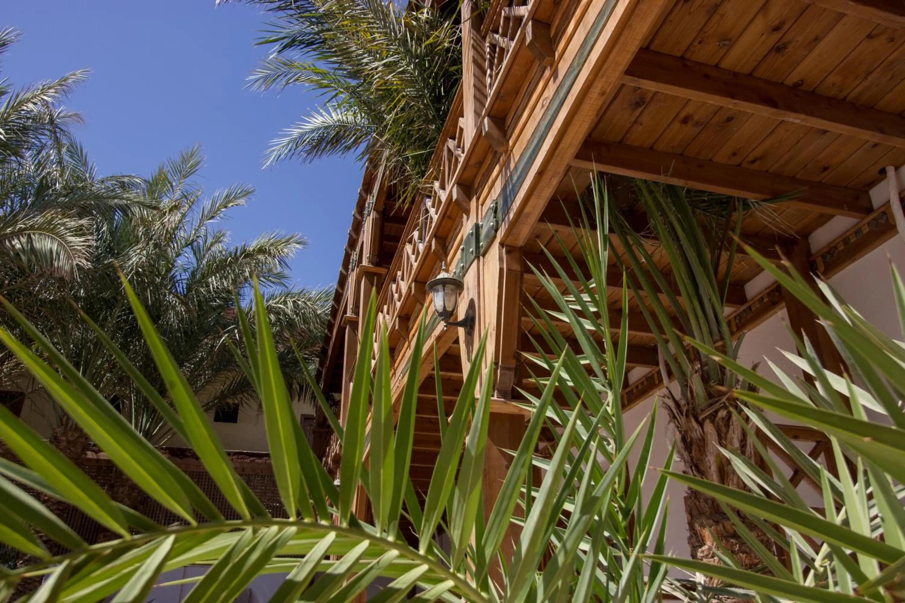 Garden in Acacia Dahab Hotel