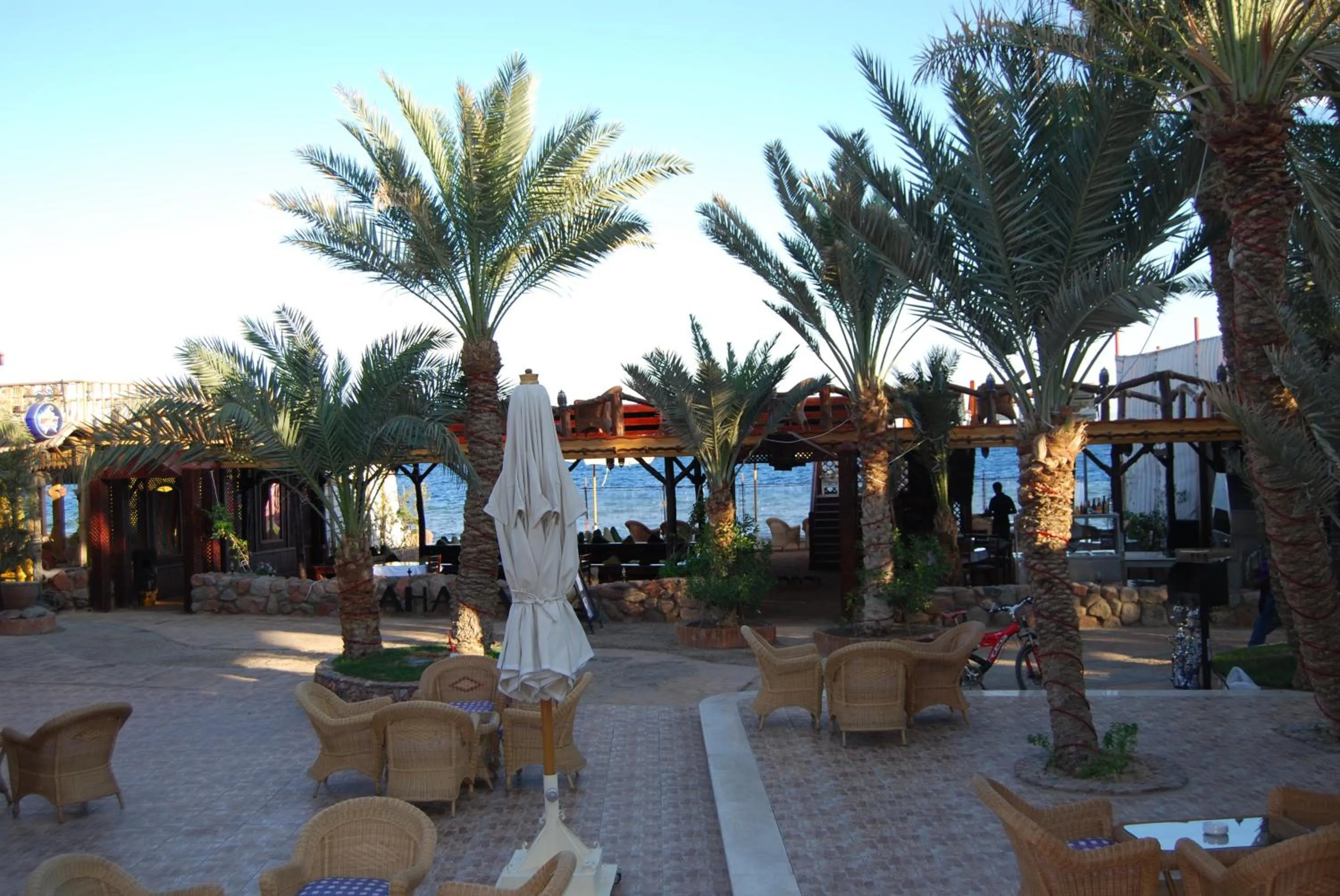 Restaurant/places to eat in Acacia Dahab Hotel