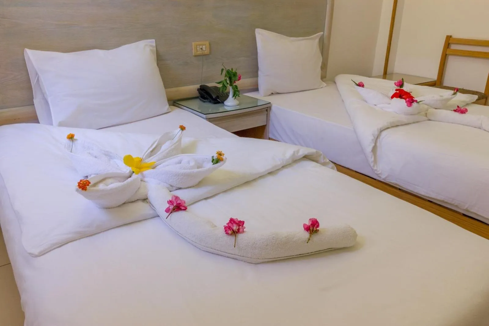 Bed in Acacia Dahab Hotel