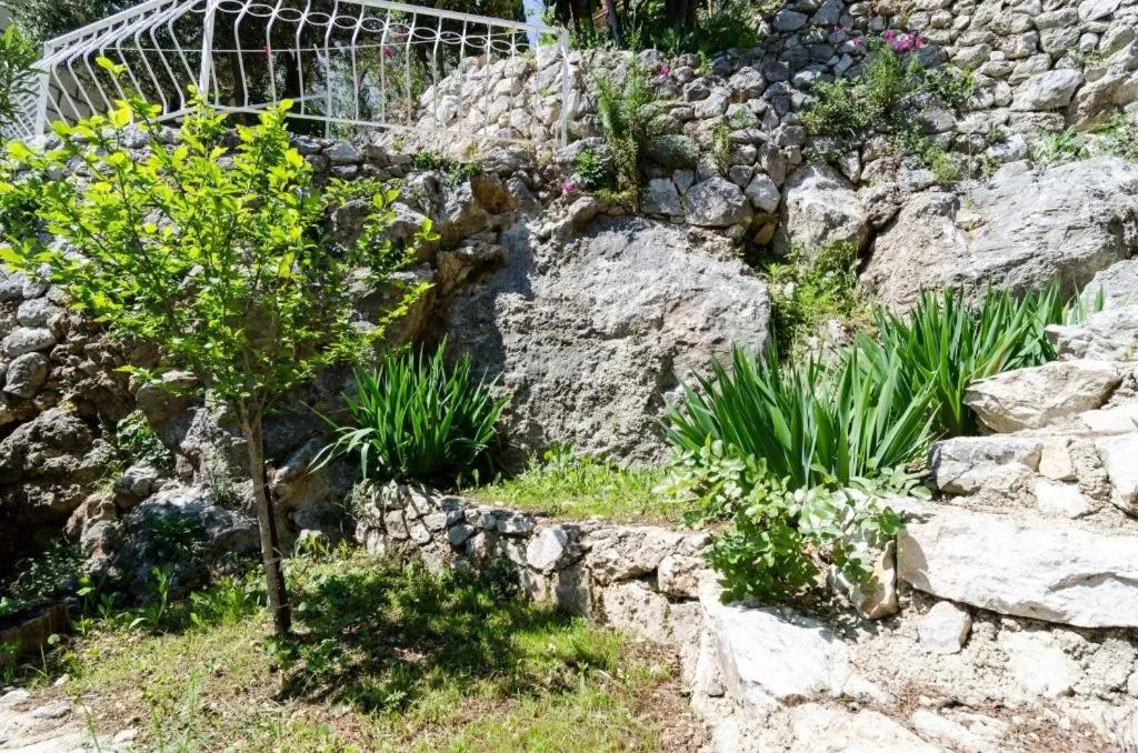 Garden in Guest House Daniela