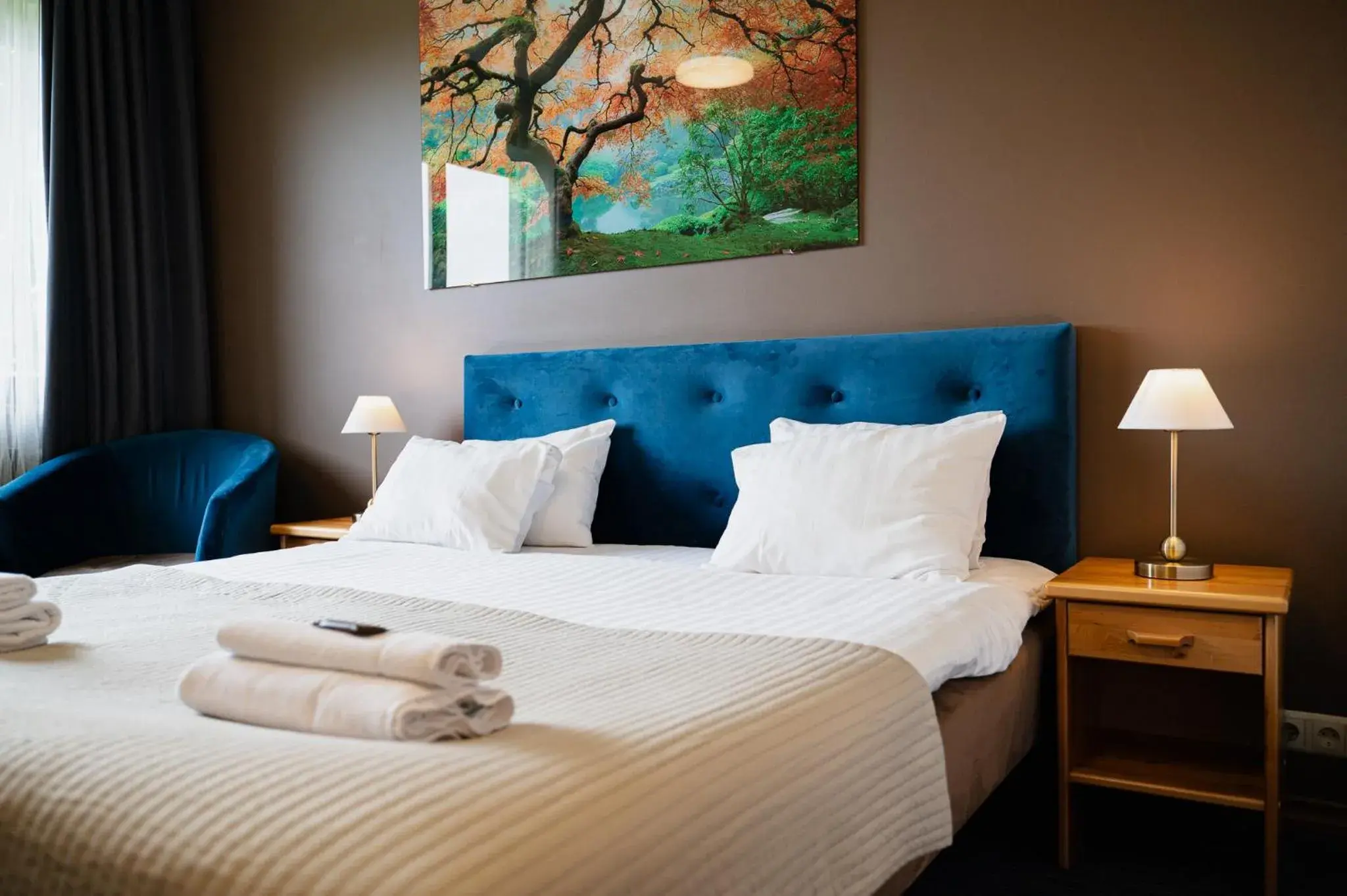 Standard Double Room in Comfort Hotel Kuldiga Standard Double Room in Comfort Hotel Kuldiga