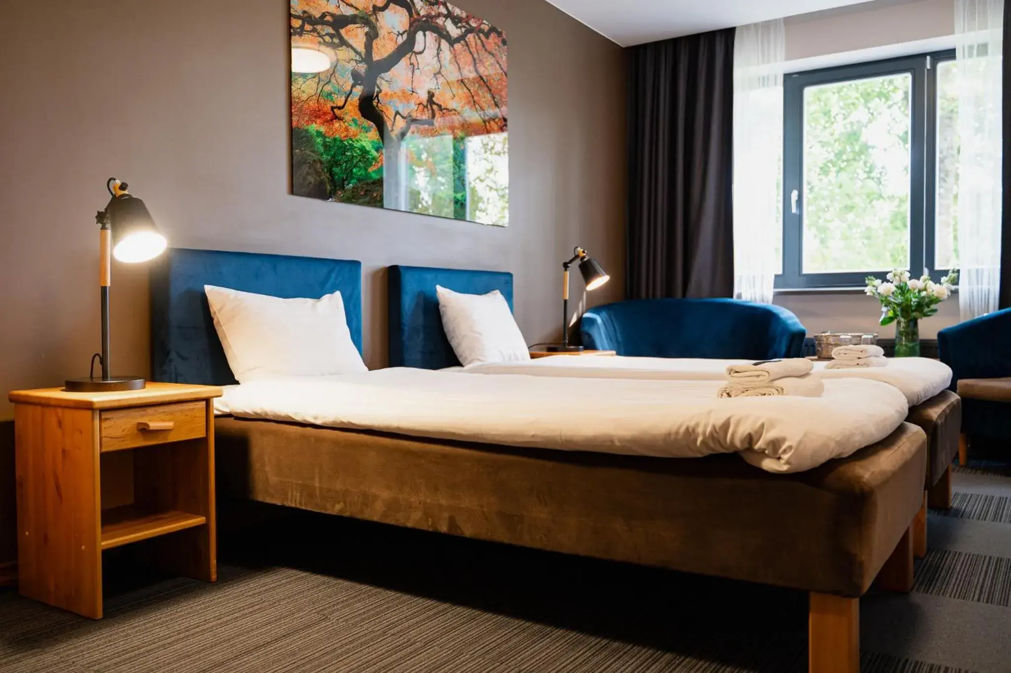 Standard Twin Room in Comfort Hotel Kuldiga Standard Twin Room in Comfort Hotel Kuldiga