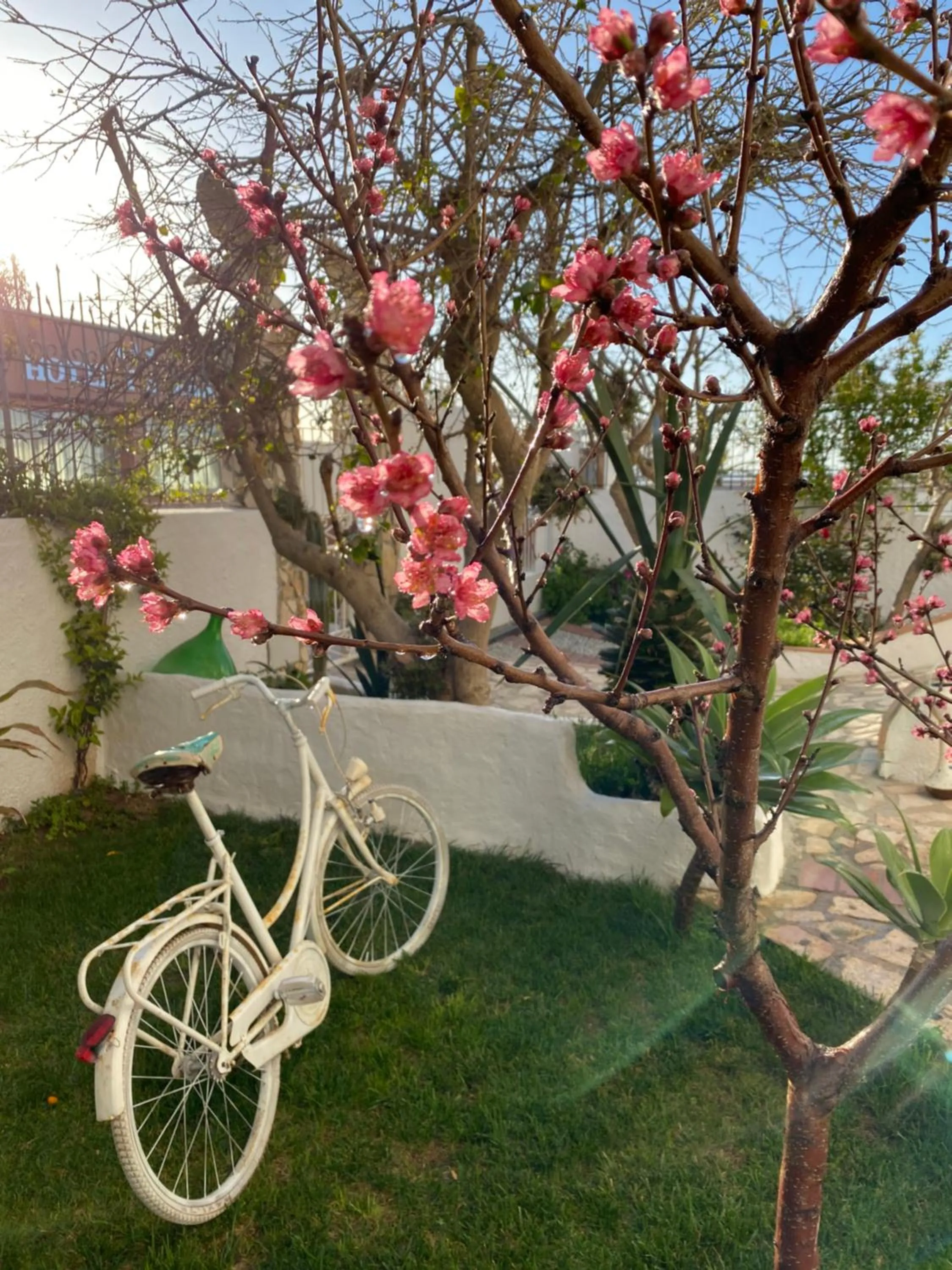 Day in La Porta del Mare