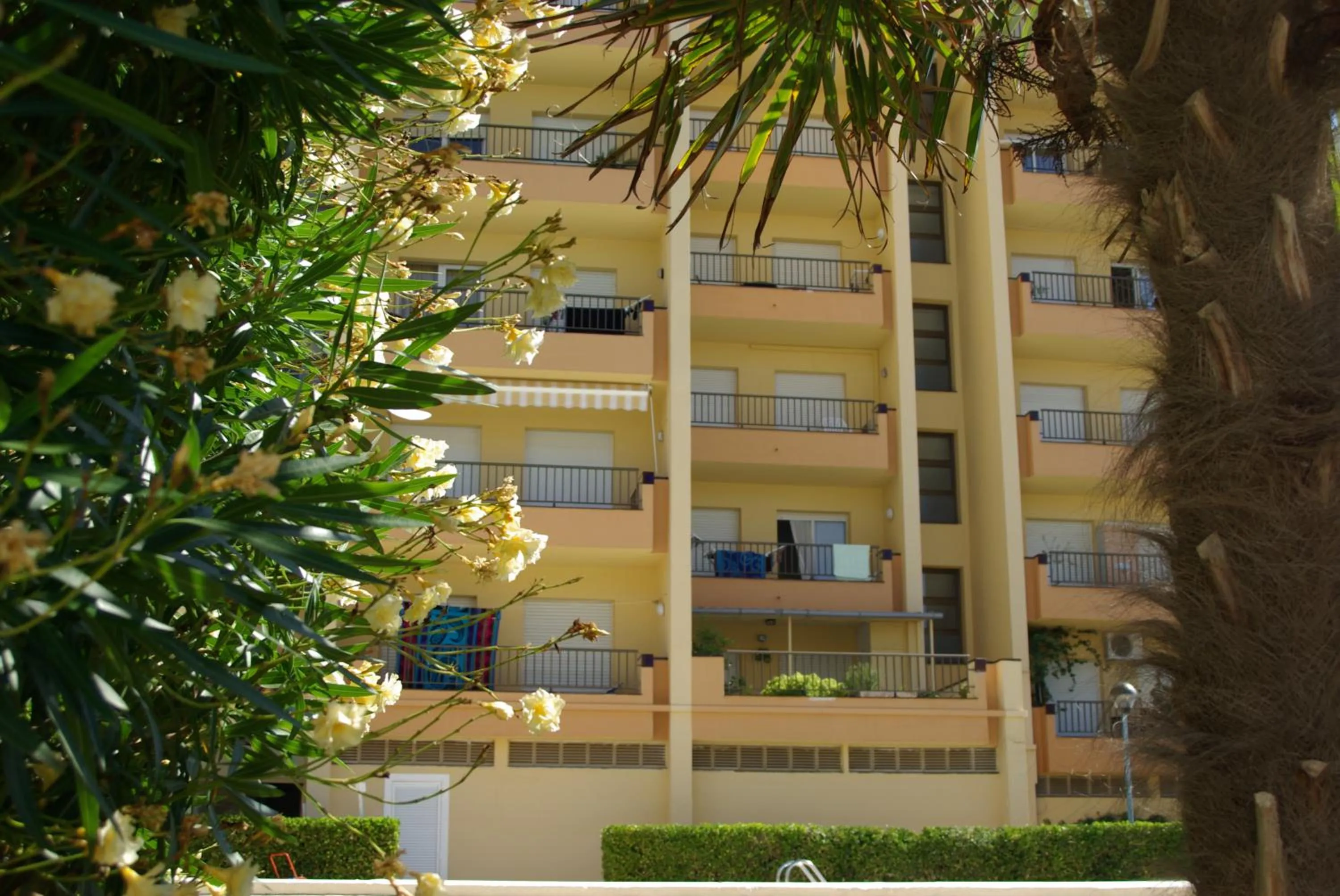 Facade/entrance in MAR BLAU L'ESCALA