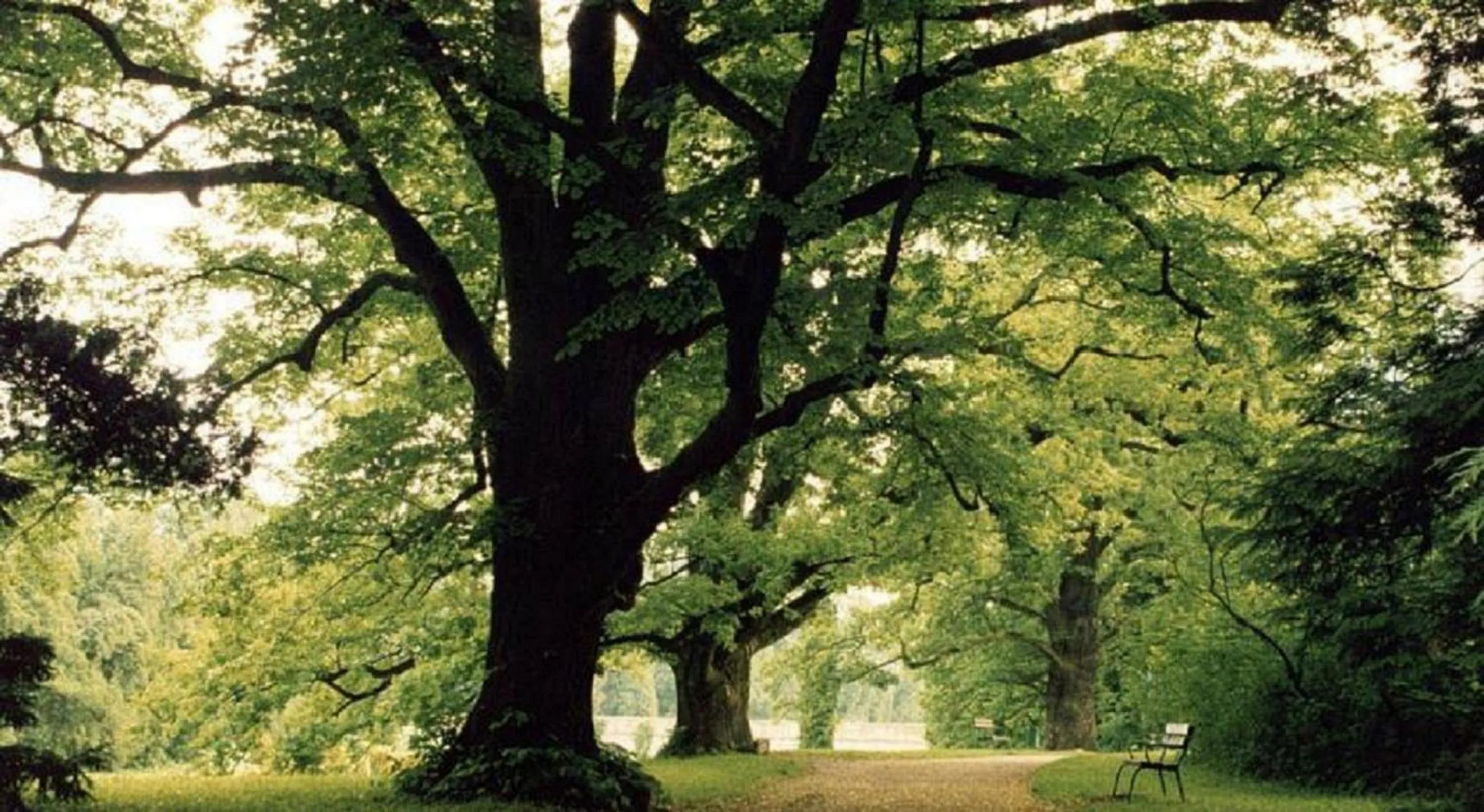 Area and facilities in Zamek w Krasiczynie