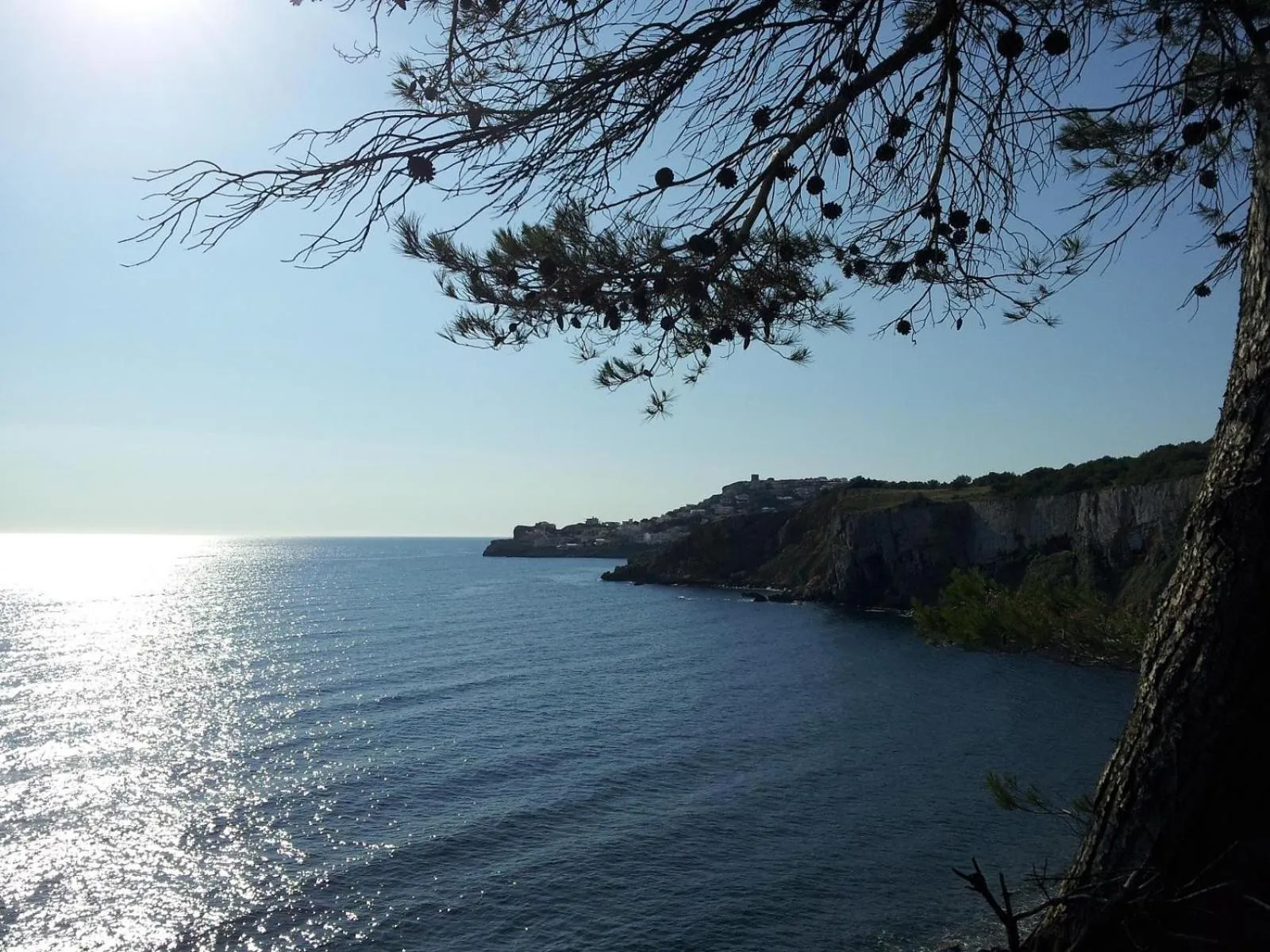 Landmark view in Puig Sureda 13 1C