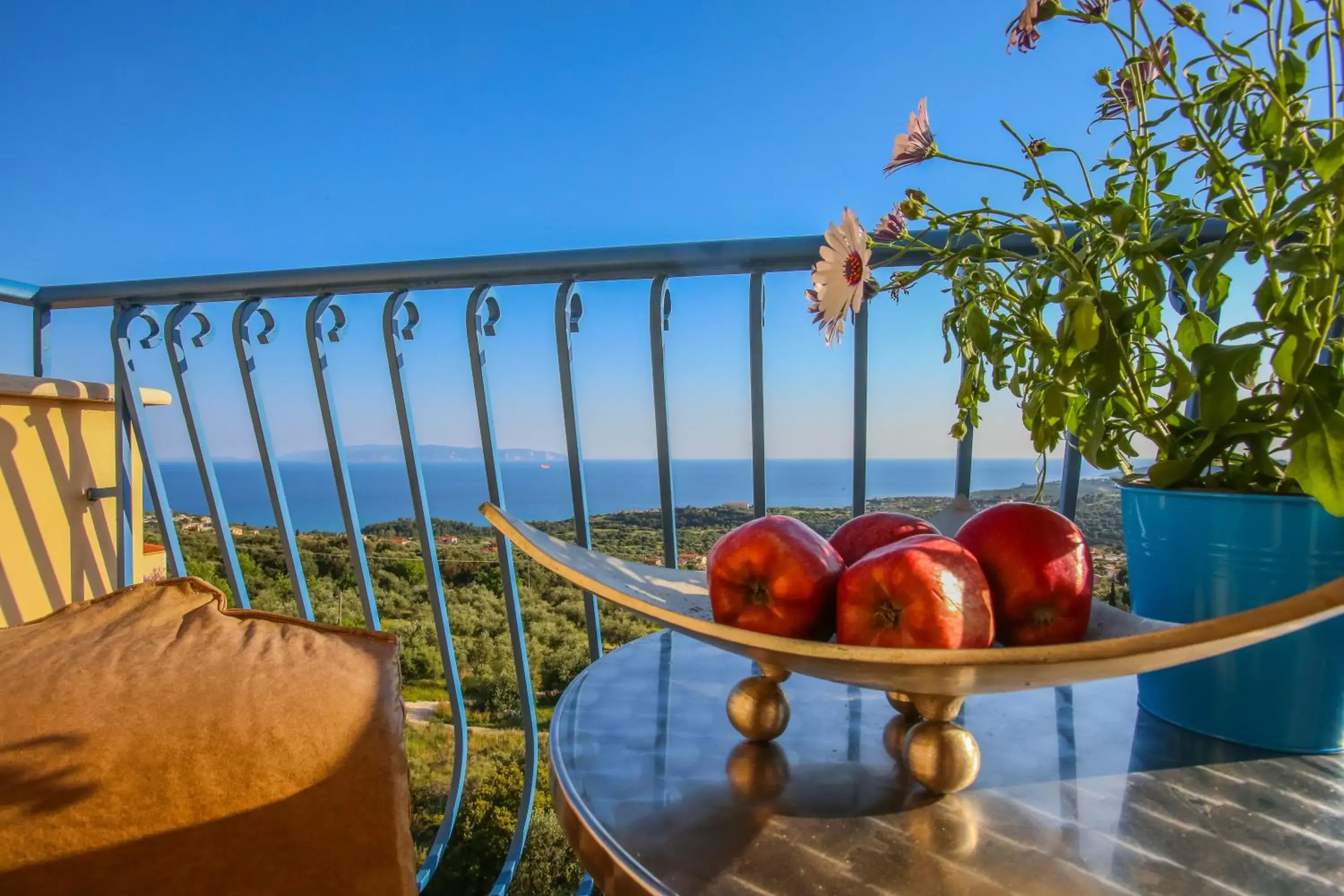 Food in Diana Studios Food in Diana Studios