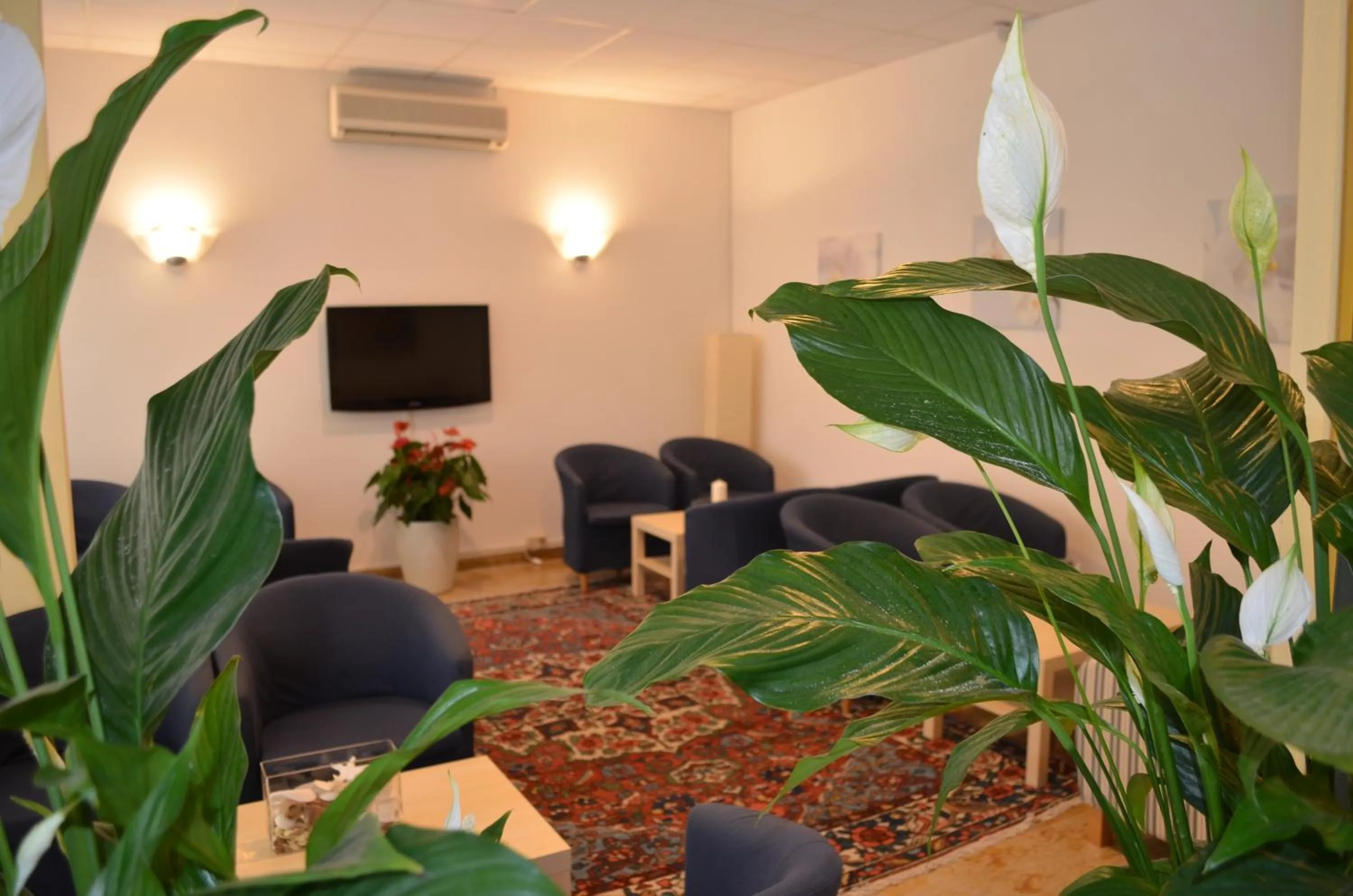 Communal lounge/ TV room in Hotel Capitol