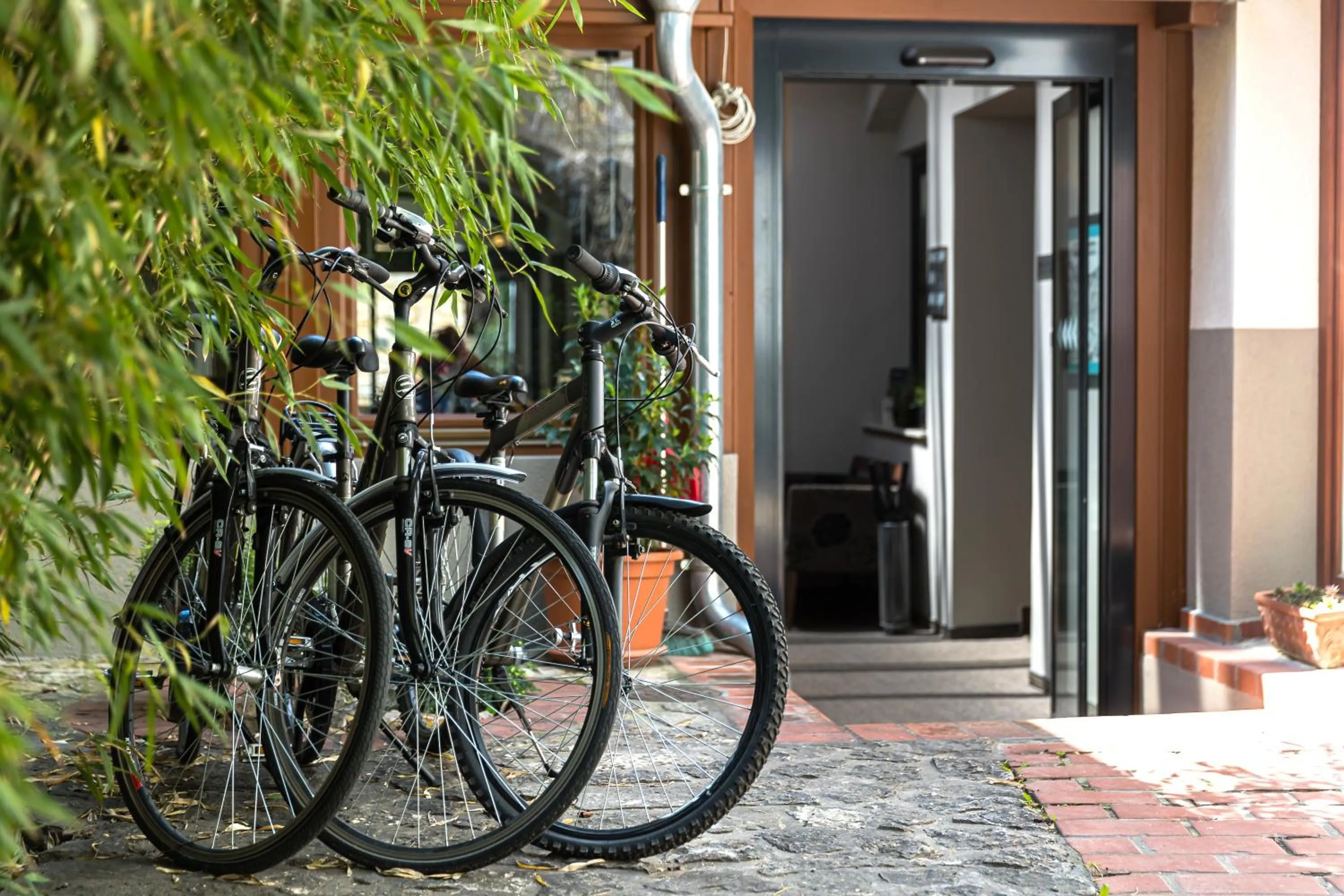 Activities in Oliva Hotel