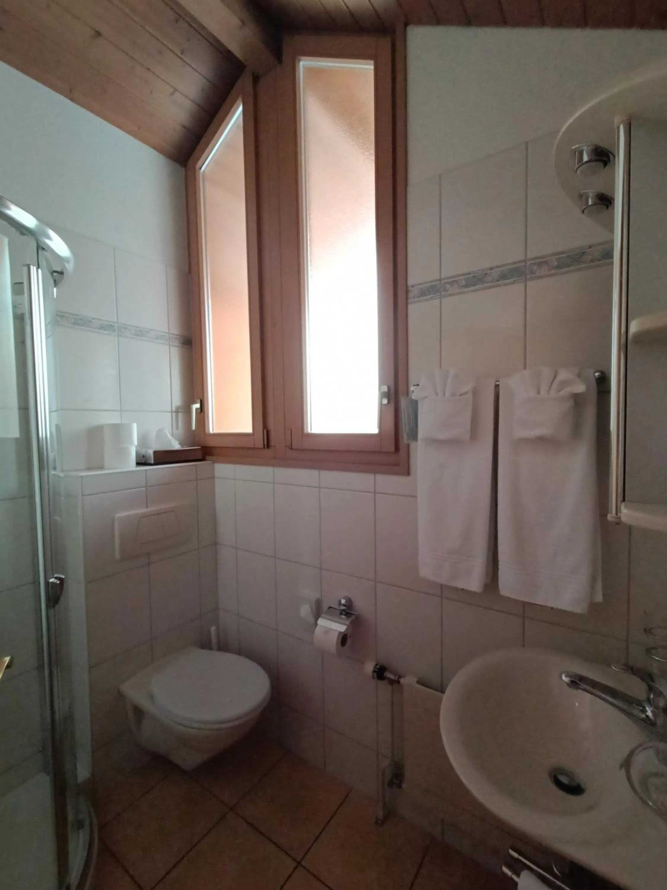 Bathroom in Hotel Adler