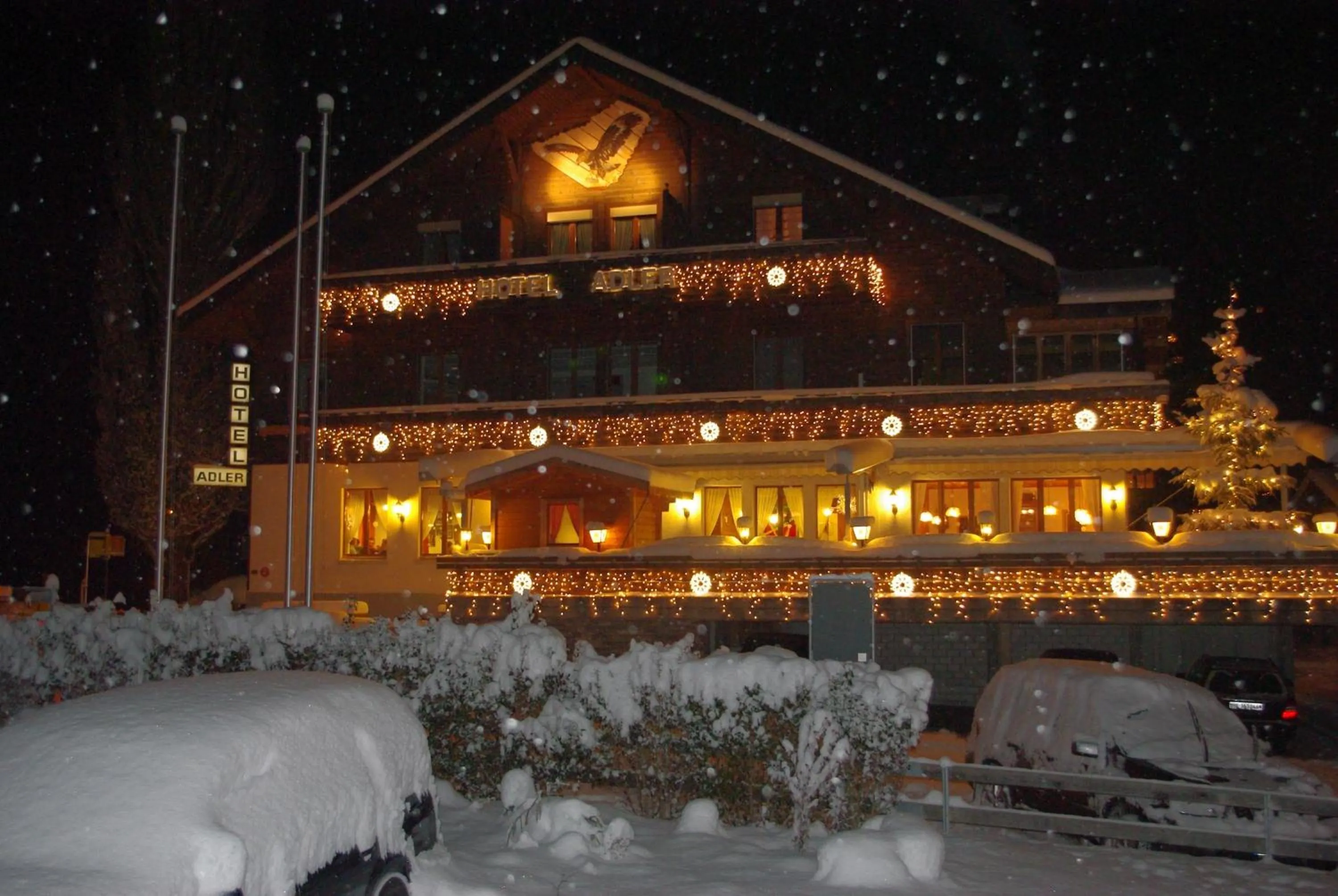 Winter in Hotel Adler