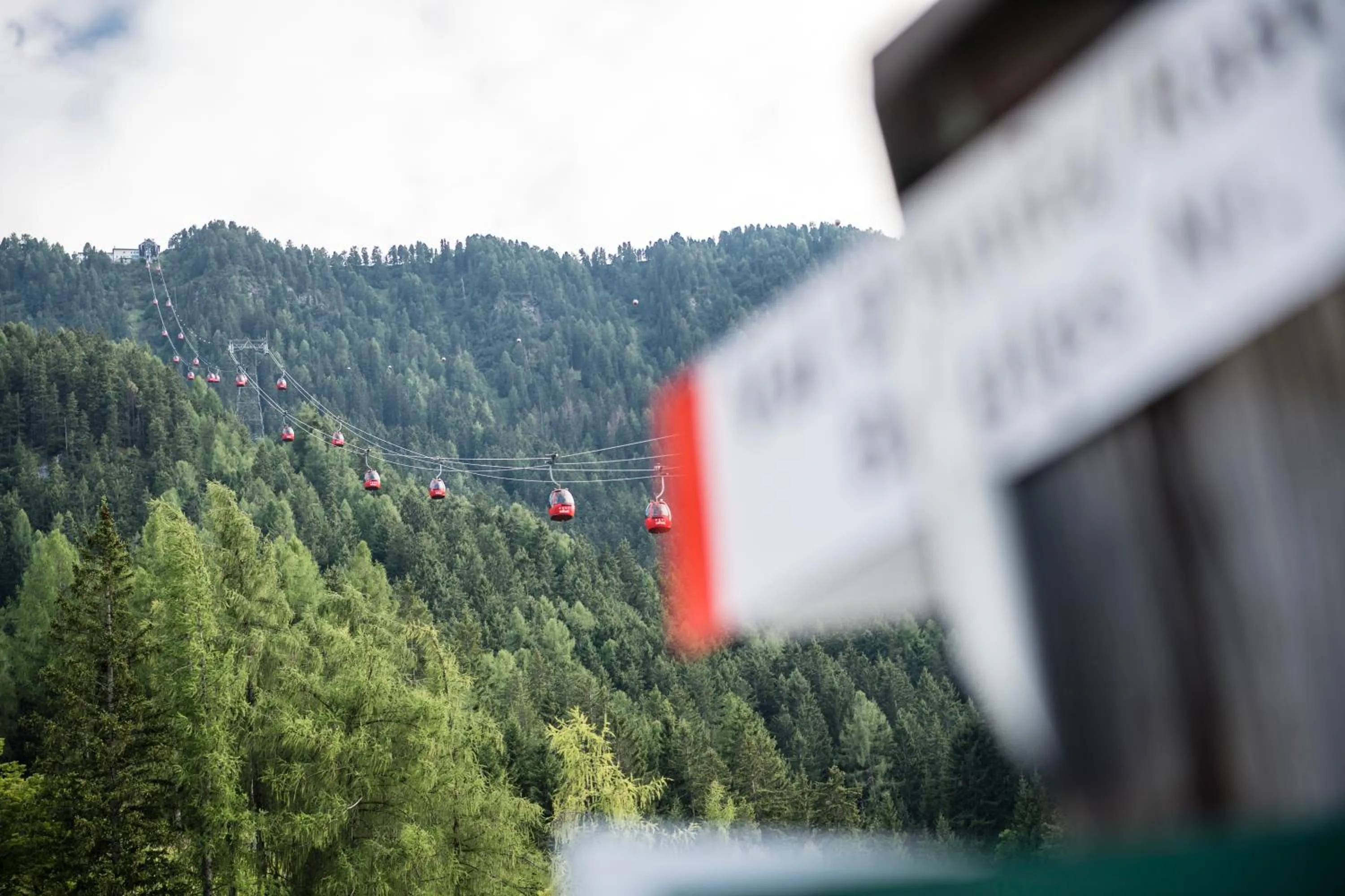 Garden view in Rainell Dolomites Retreat