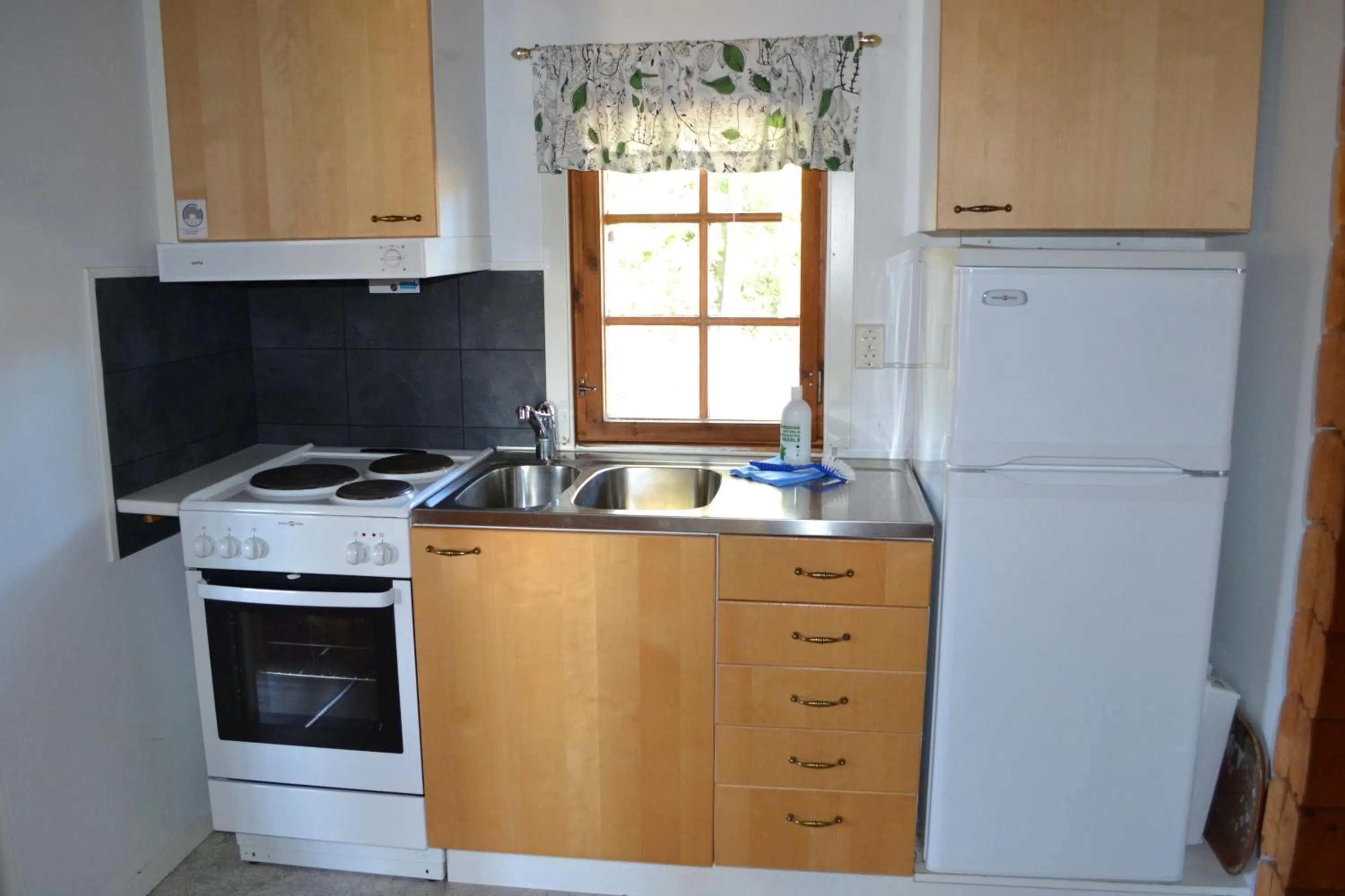 Kitchen or kitchenette in First Camp Enåbadet - Rättvik