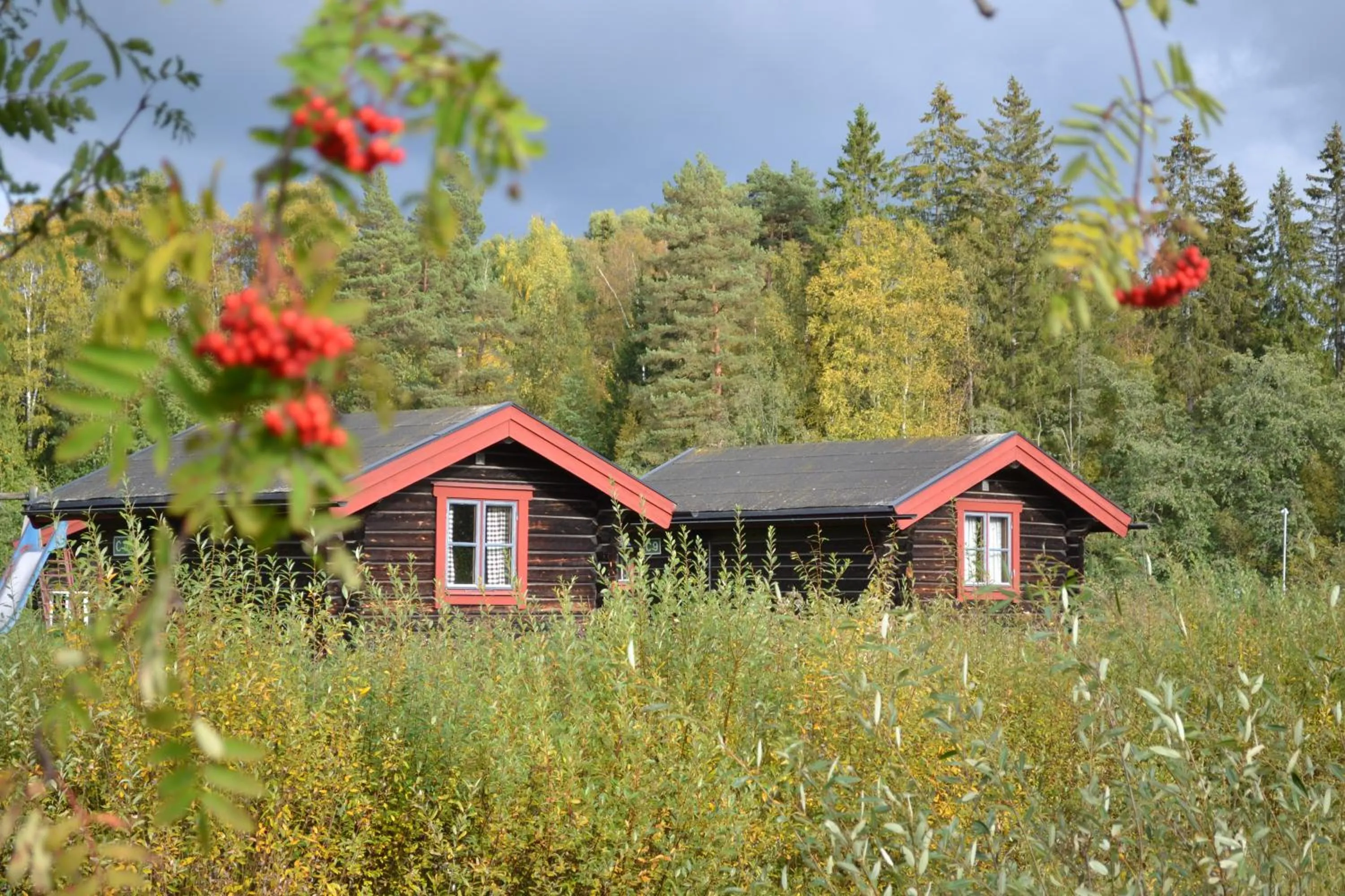 Facade/entrance in First Camp Enåbadet - Rättvik