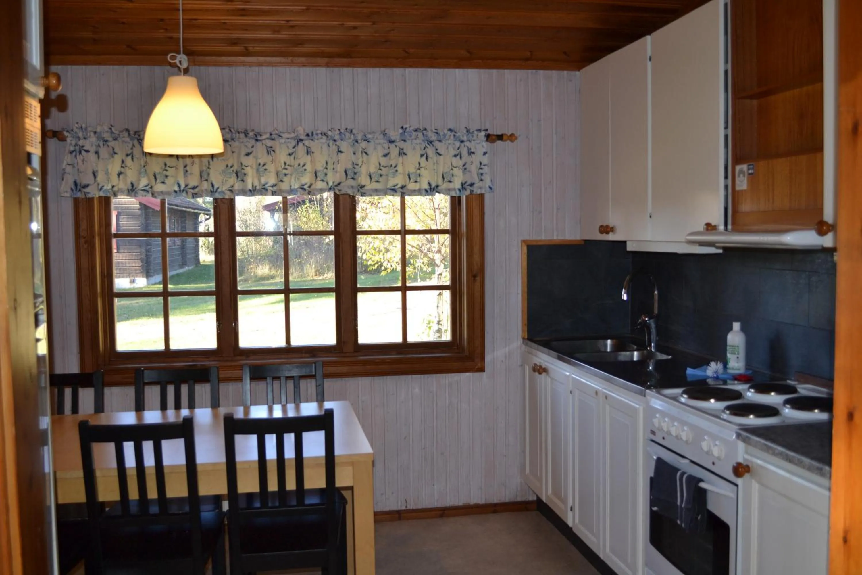 Kitchen or kitchenette in First Camp Enåbadet - Rättvik
