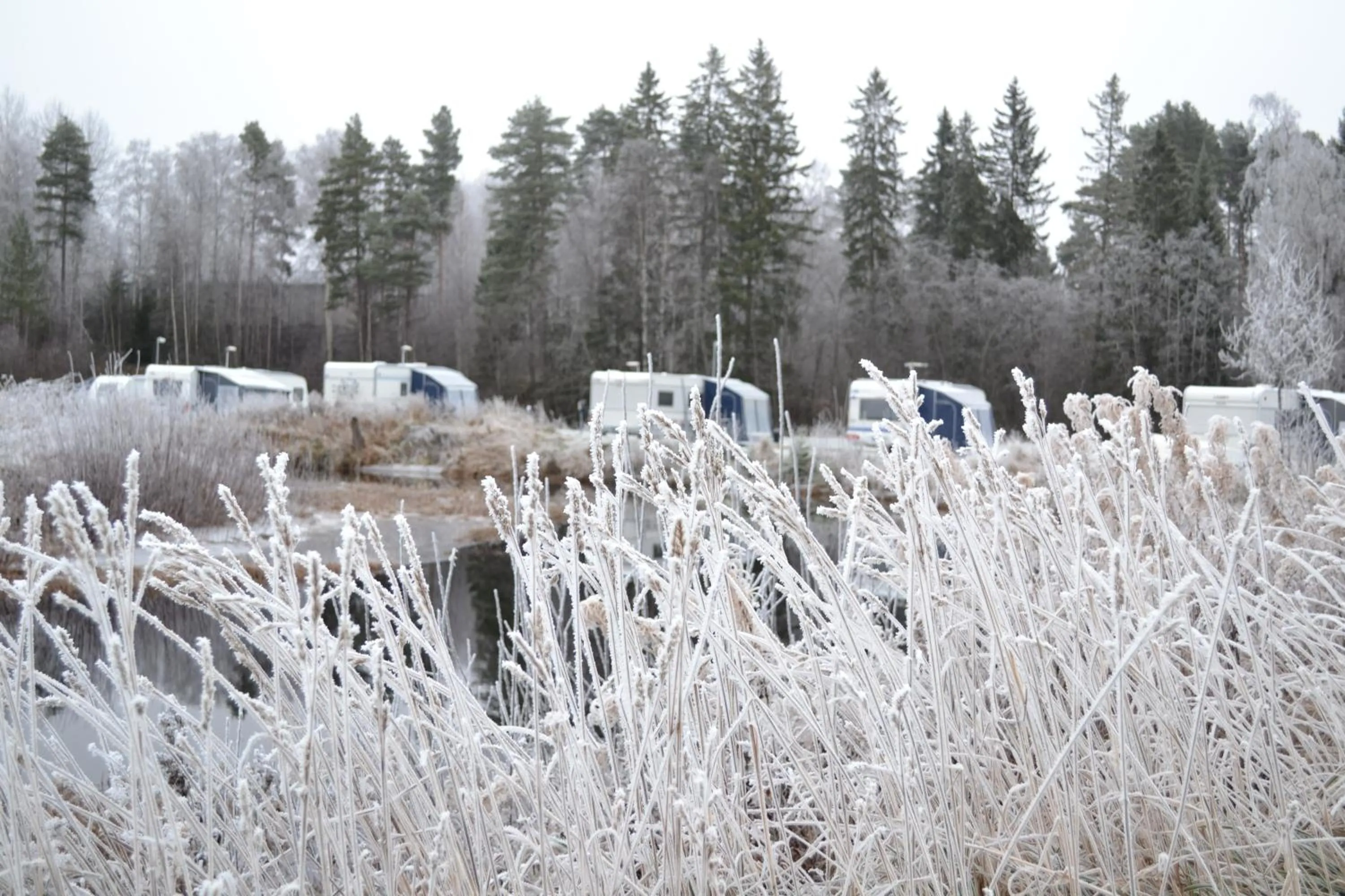 Natural landscape in First Camp Enåbadet - Rättvik
