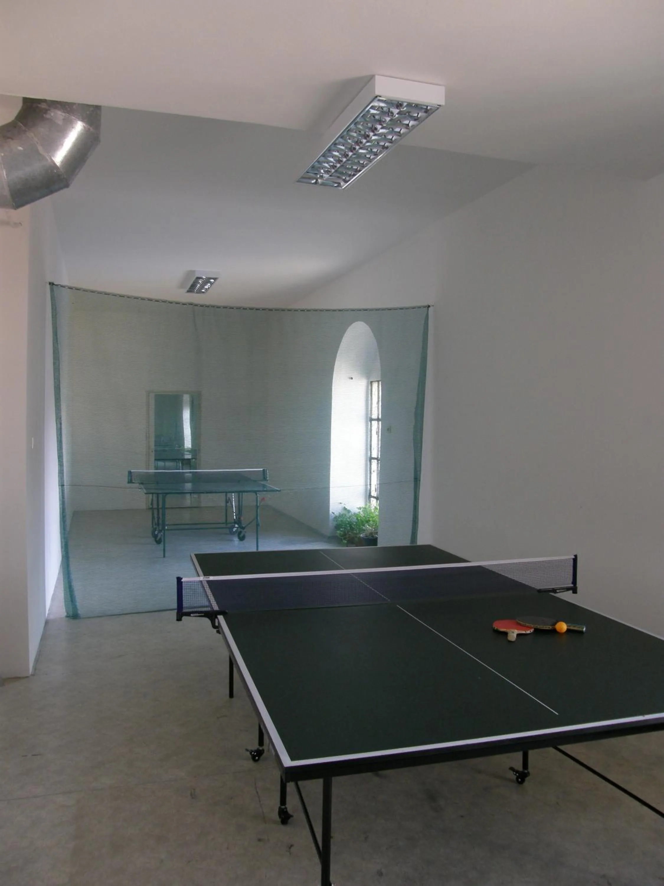 Table tennis in Hotel Bow Garden