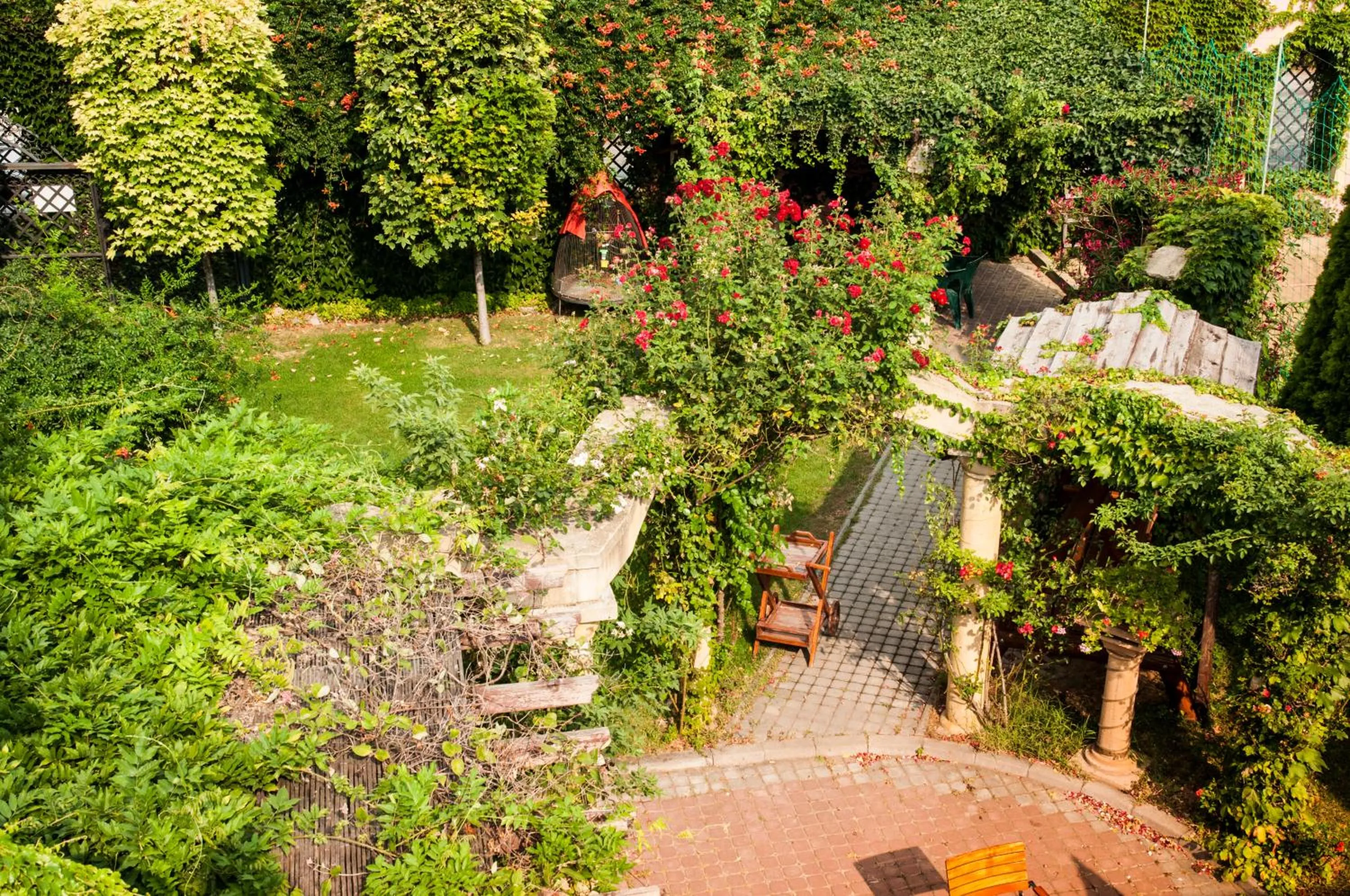 Garden in Hotel Bow Garden