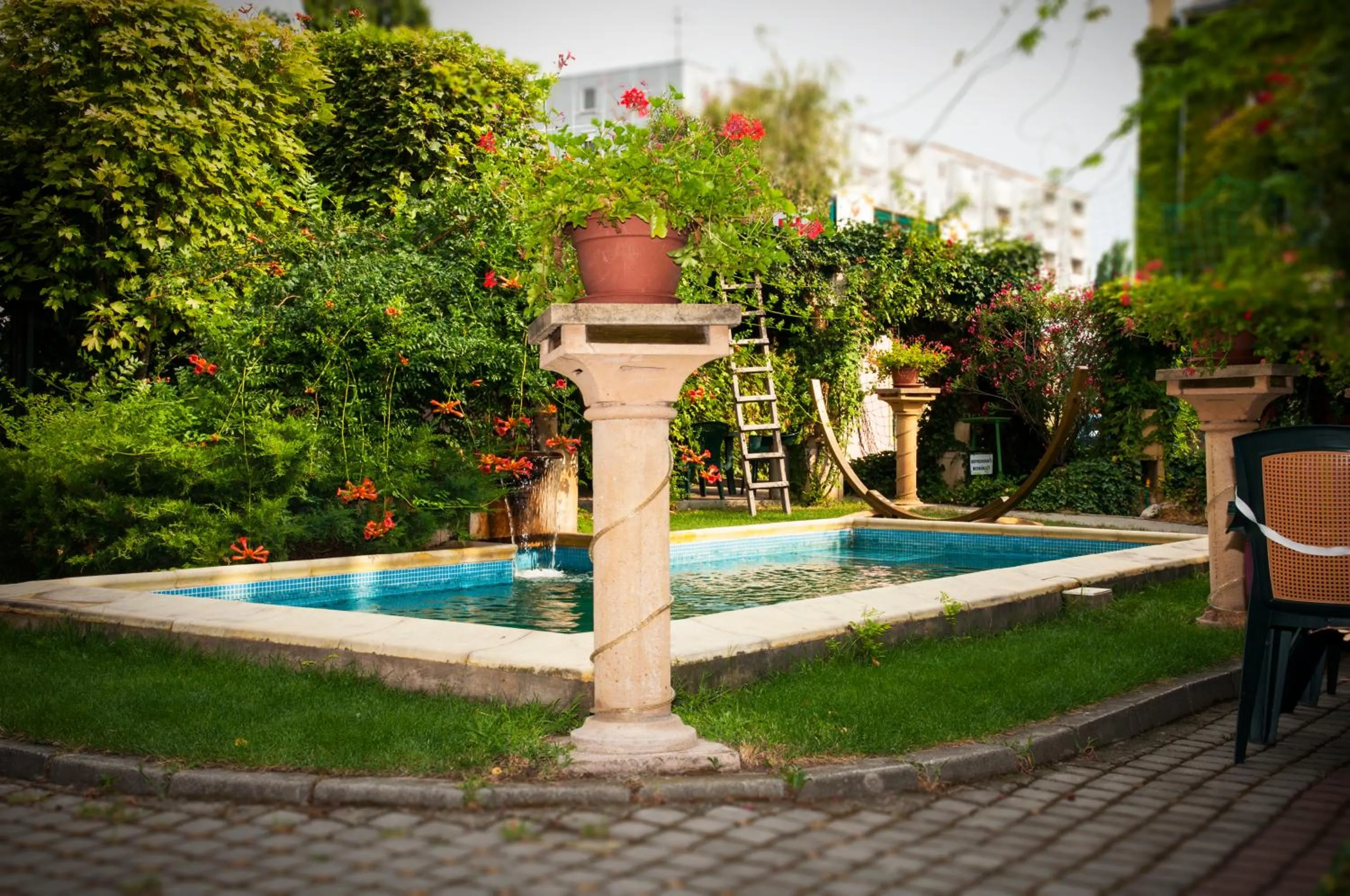 Garden in Hotel Bow Garden