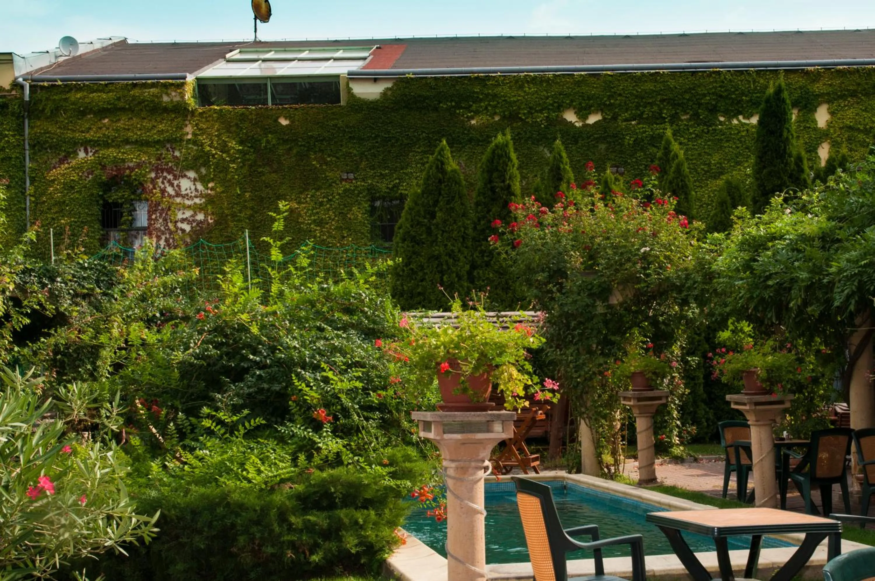 Garden in Hotel Bow Garden