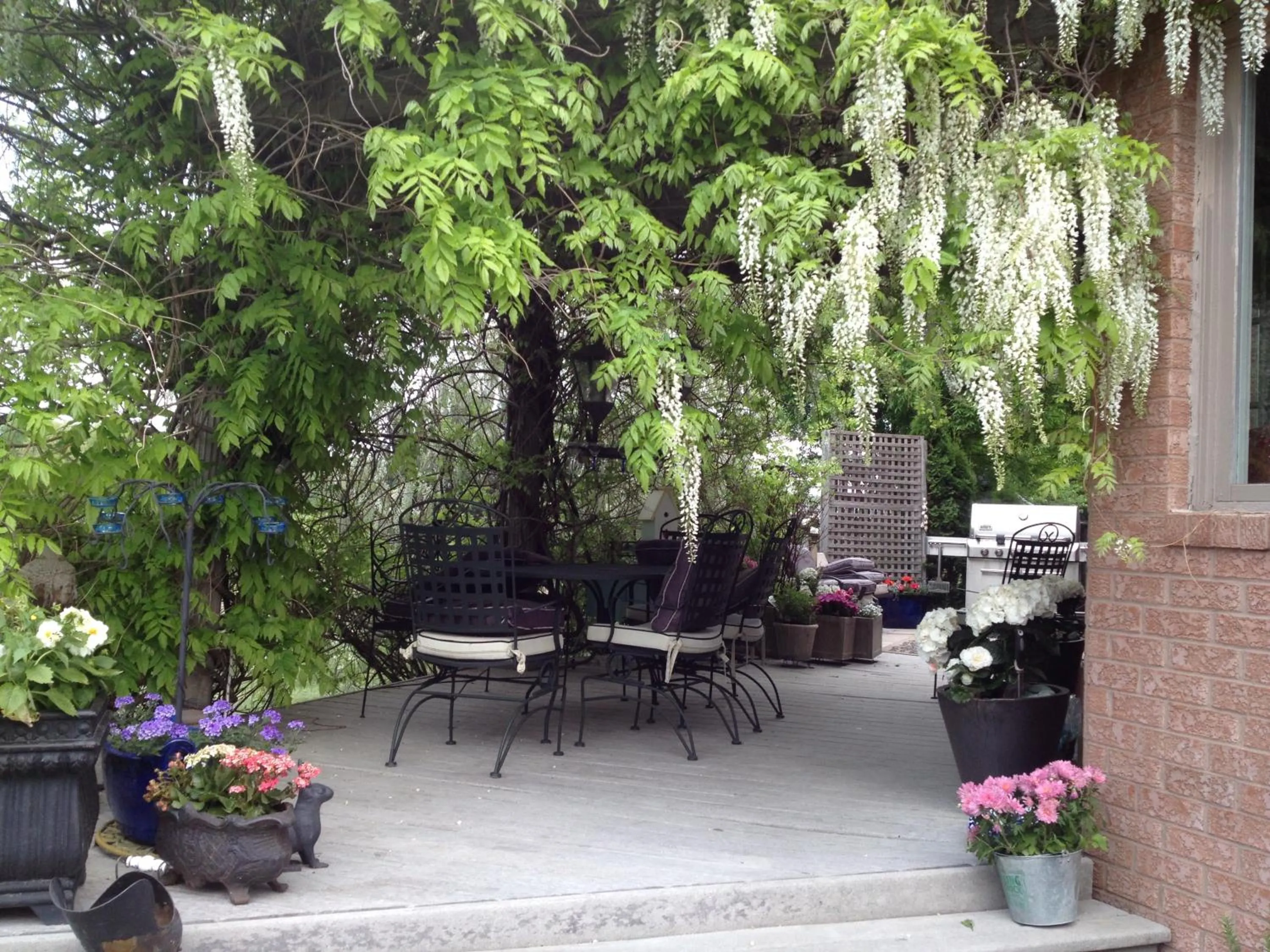 Balcony/Terrace in Lulu's Bed & Breakfast