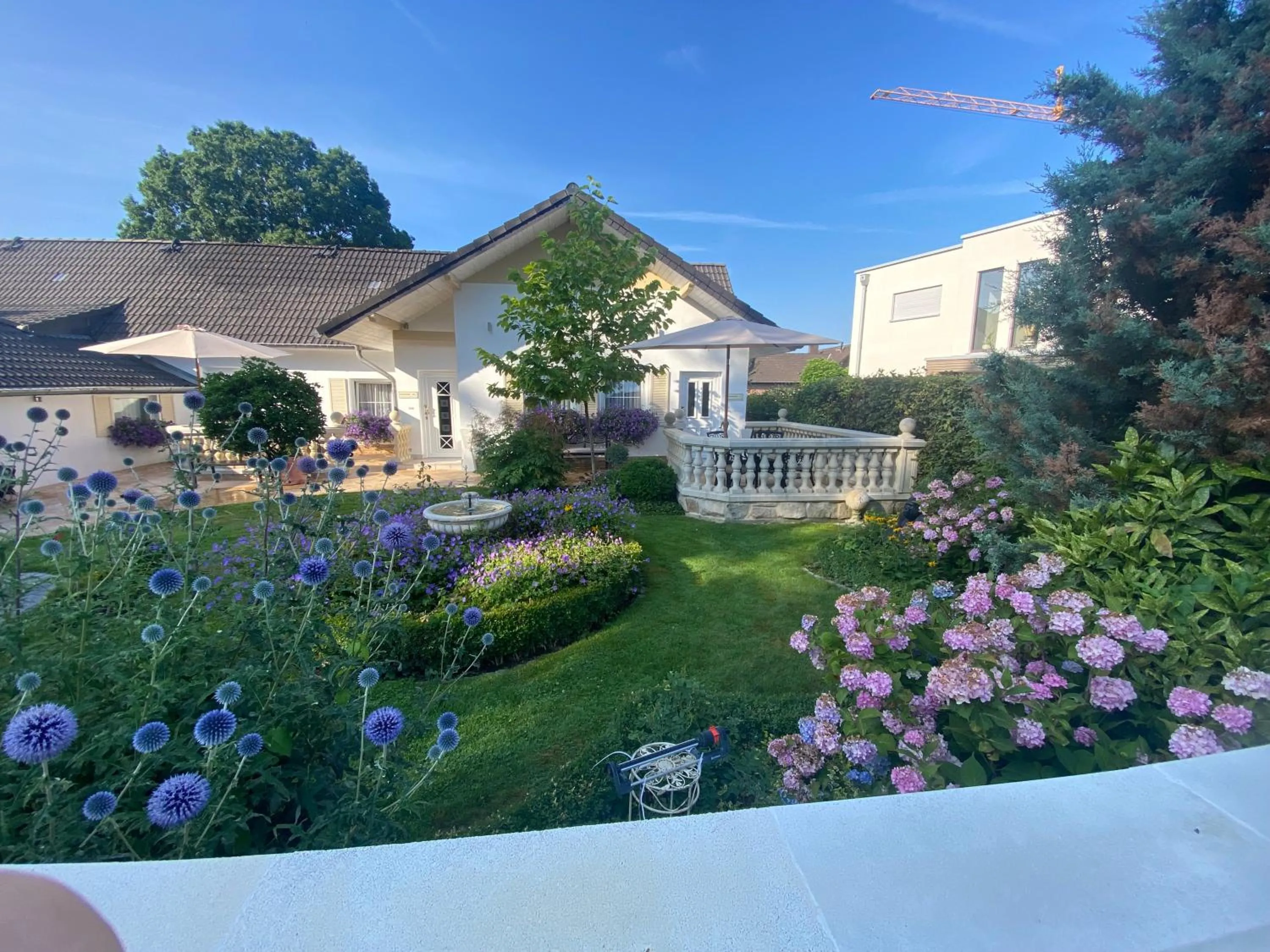 Property building in Wilsmann Apartmentvermietung