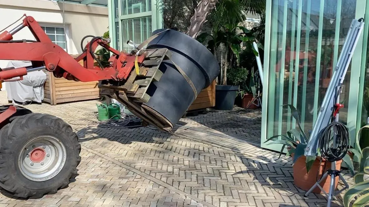 Day in Wilsmann Apartmentvermietung