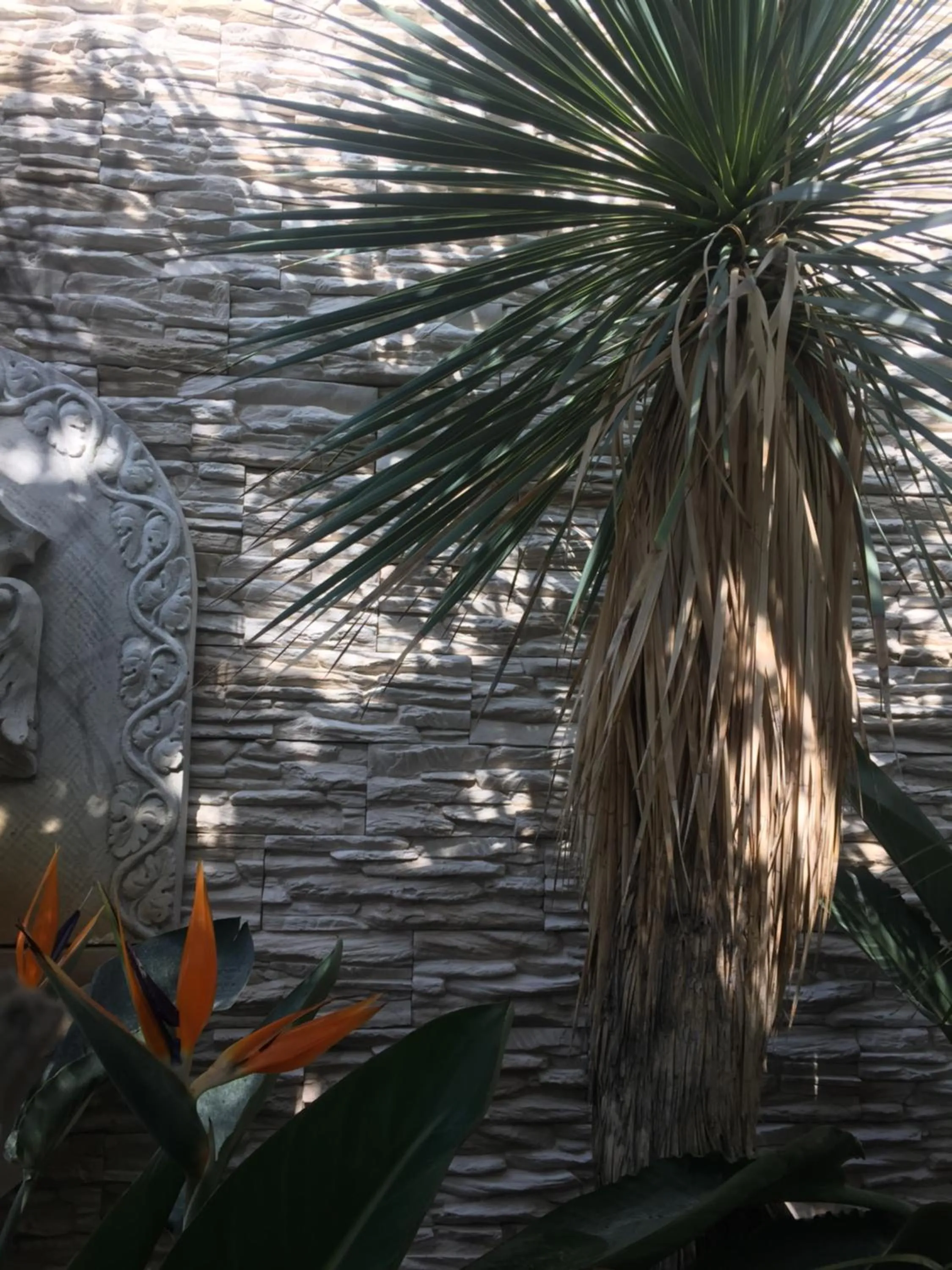 Patio in Wilsmann Apartmentvermietung