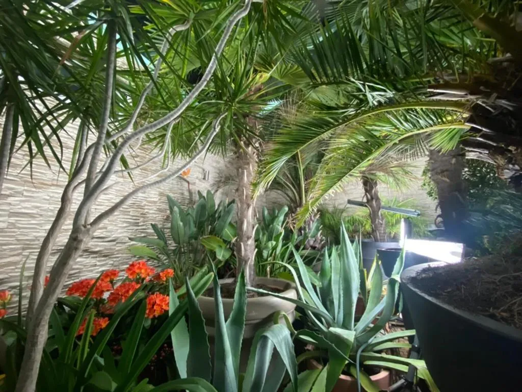 Wilsmann Apartmentvermietung