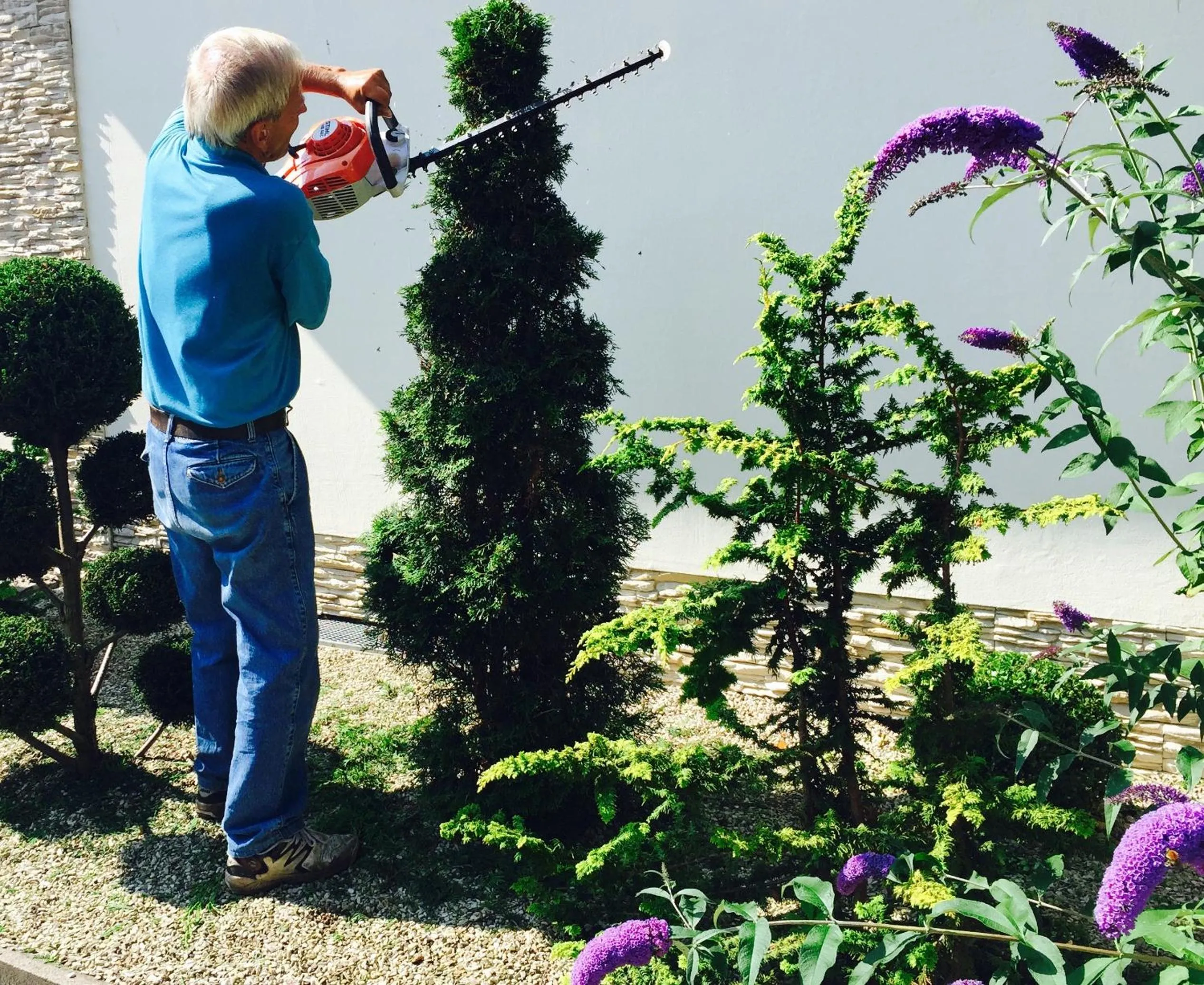 Staff in Wilsmann Apartmentvermietung