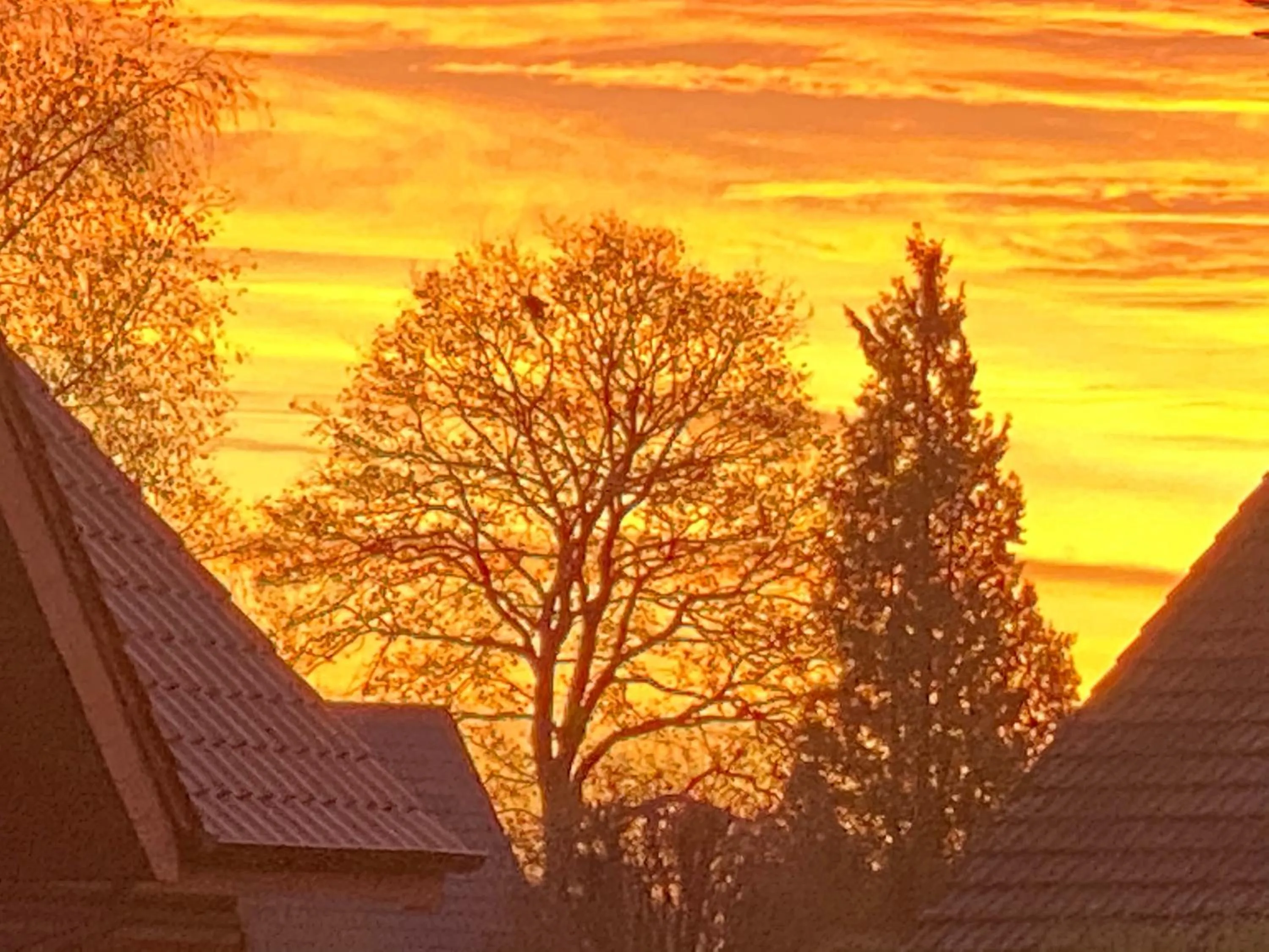 Sunset in Wilsmann Apartmentvermietung