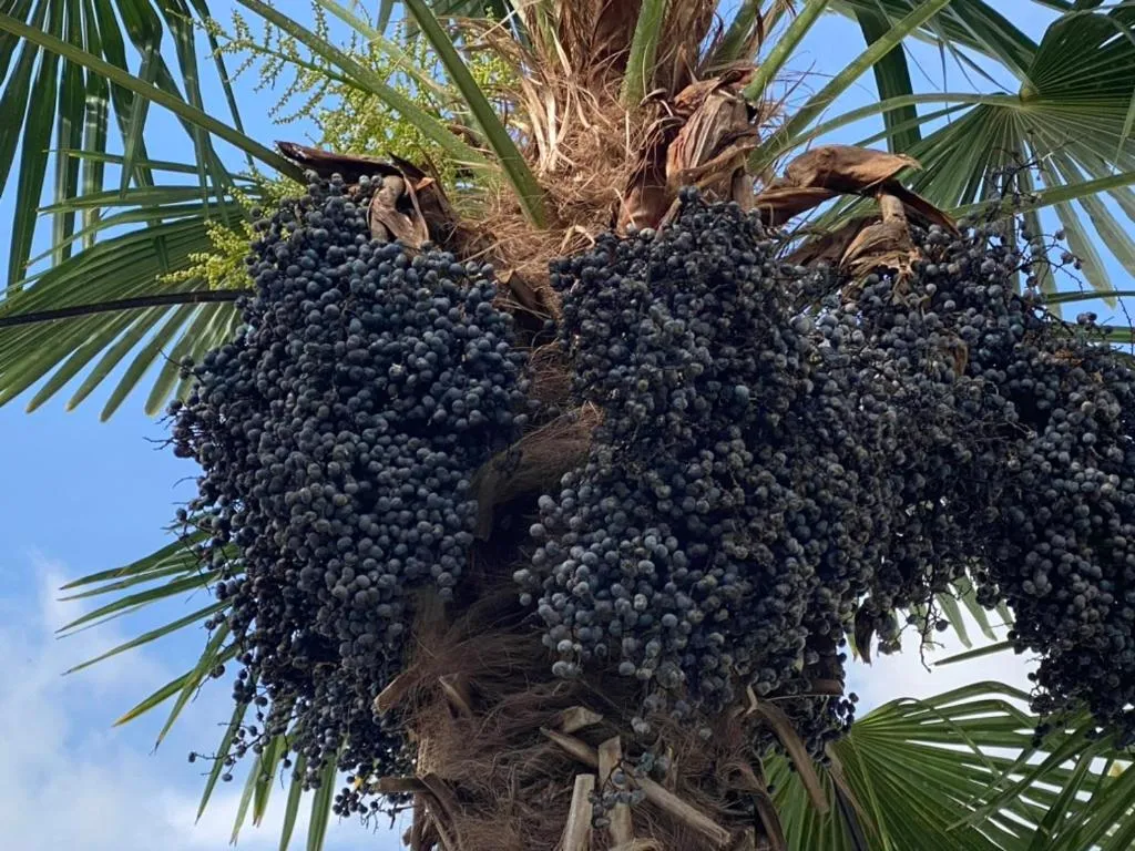 Day in Wilsmann Apartmentvermietung