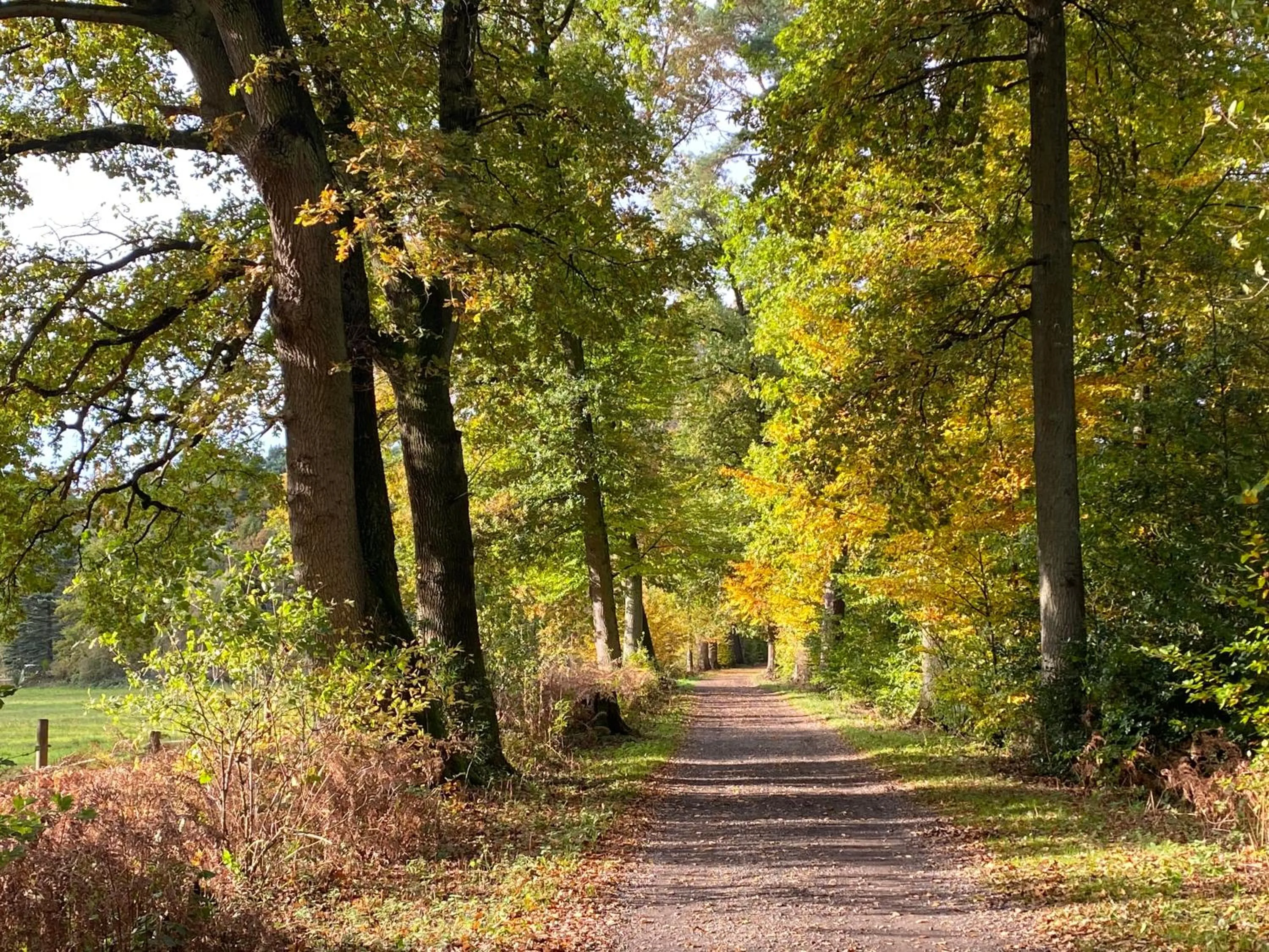 Natural landscape in Wilsmann Apartmentvermietung