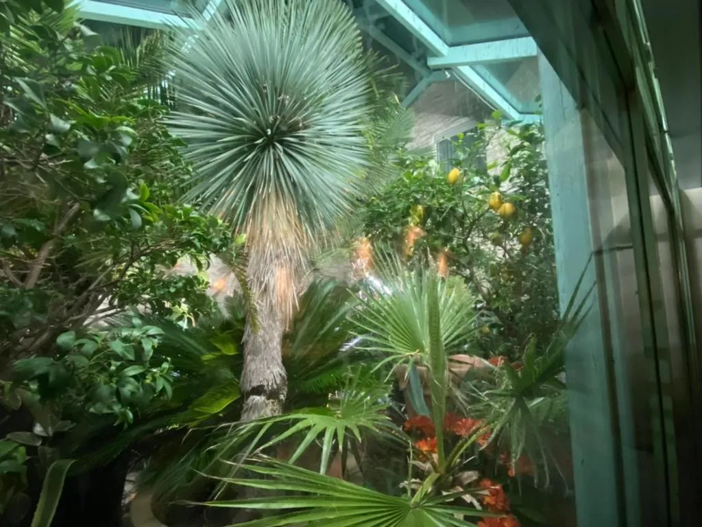 Wilsmann Apartmentvermietung