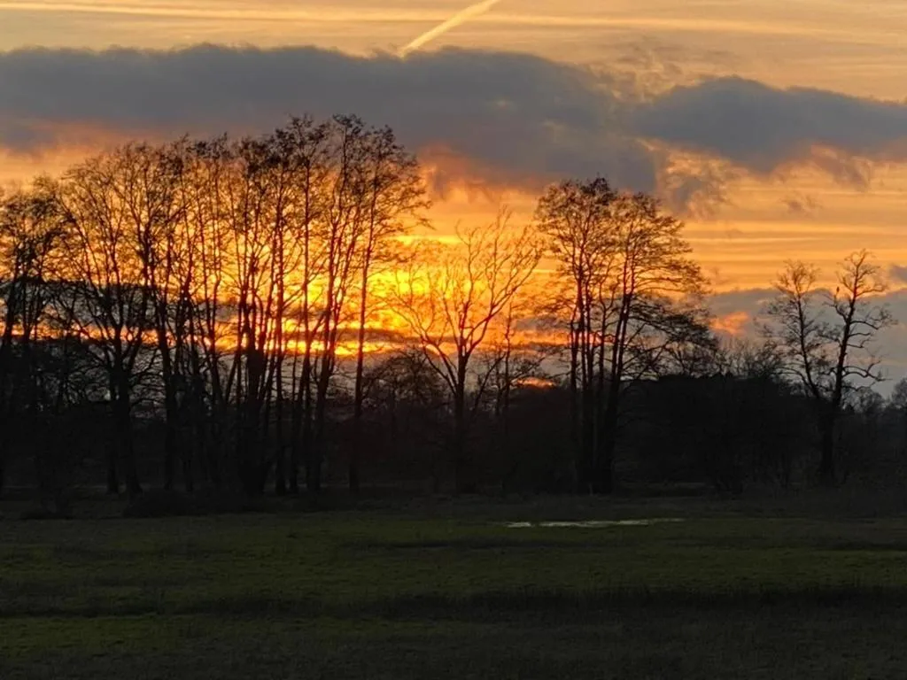 Sunset in Wilsmann Apartmentvermietung
