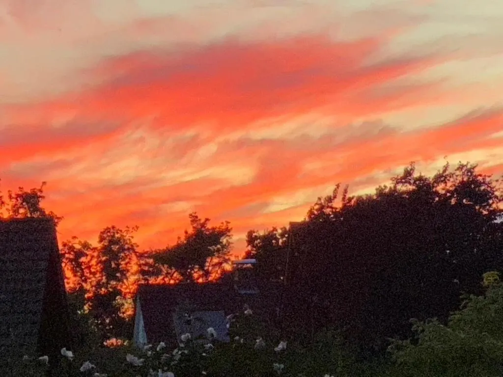 Natural landscape in Wilsmann Apartmentvermietung