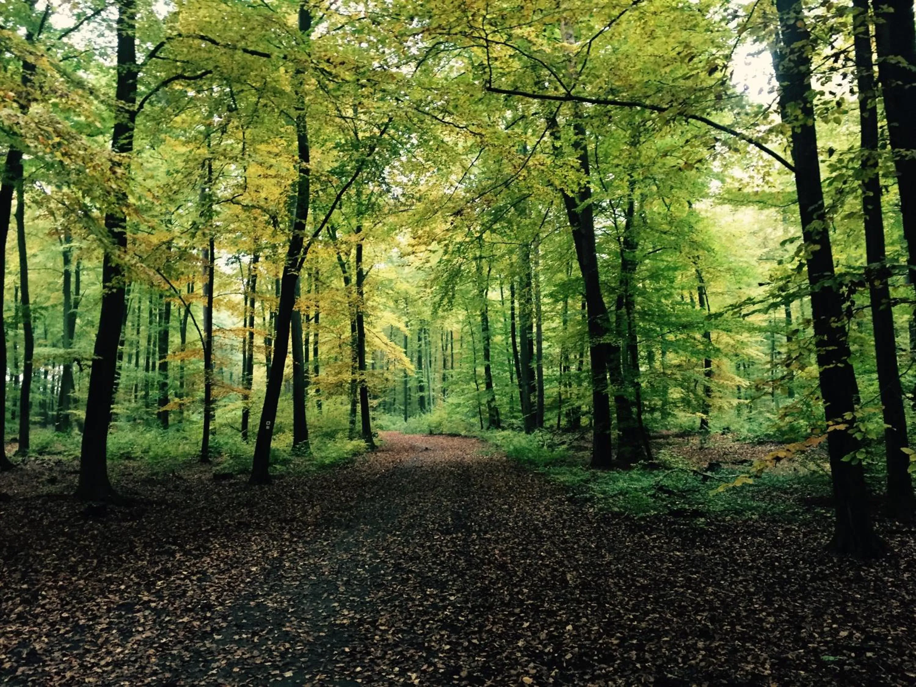 Neighbourhood in Wilsmann Apartmentvermietung