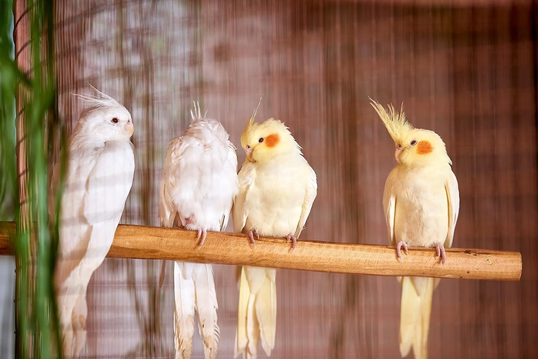 Decorative detail in Palladium Hotel