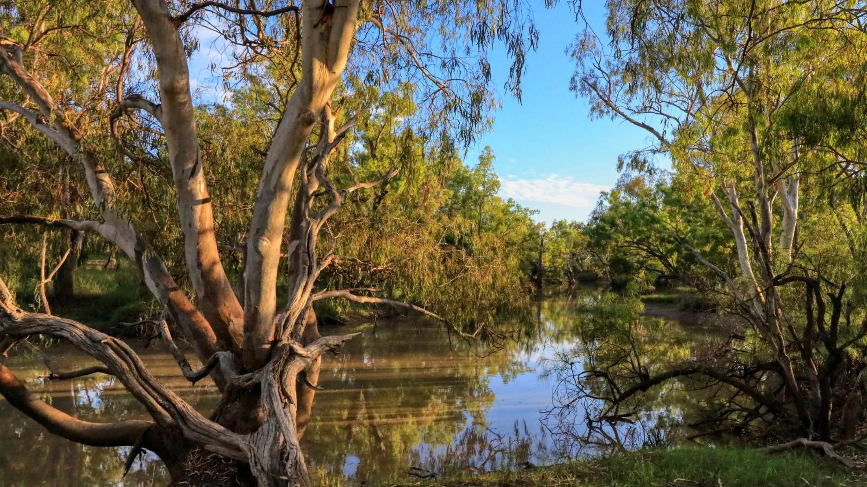 Nearby landmark in Toobeah hotel/motel