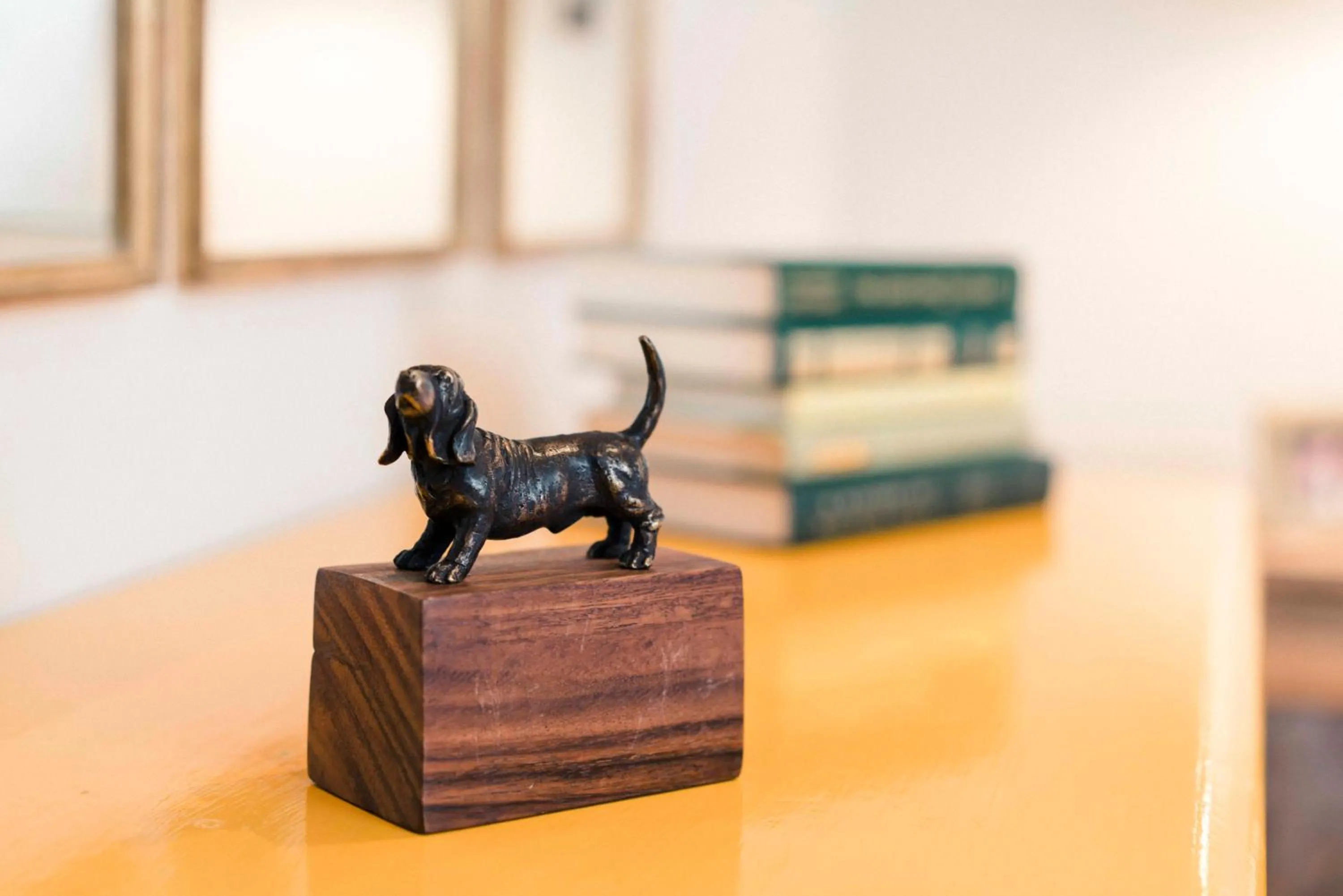 Canela Fina - Adults Only