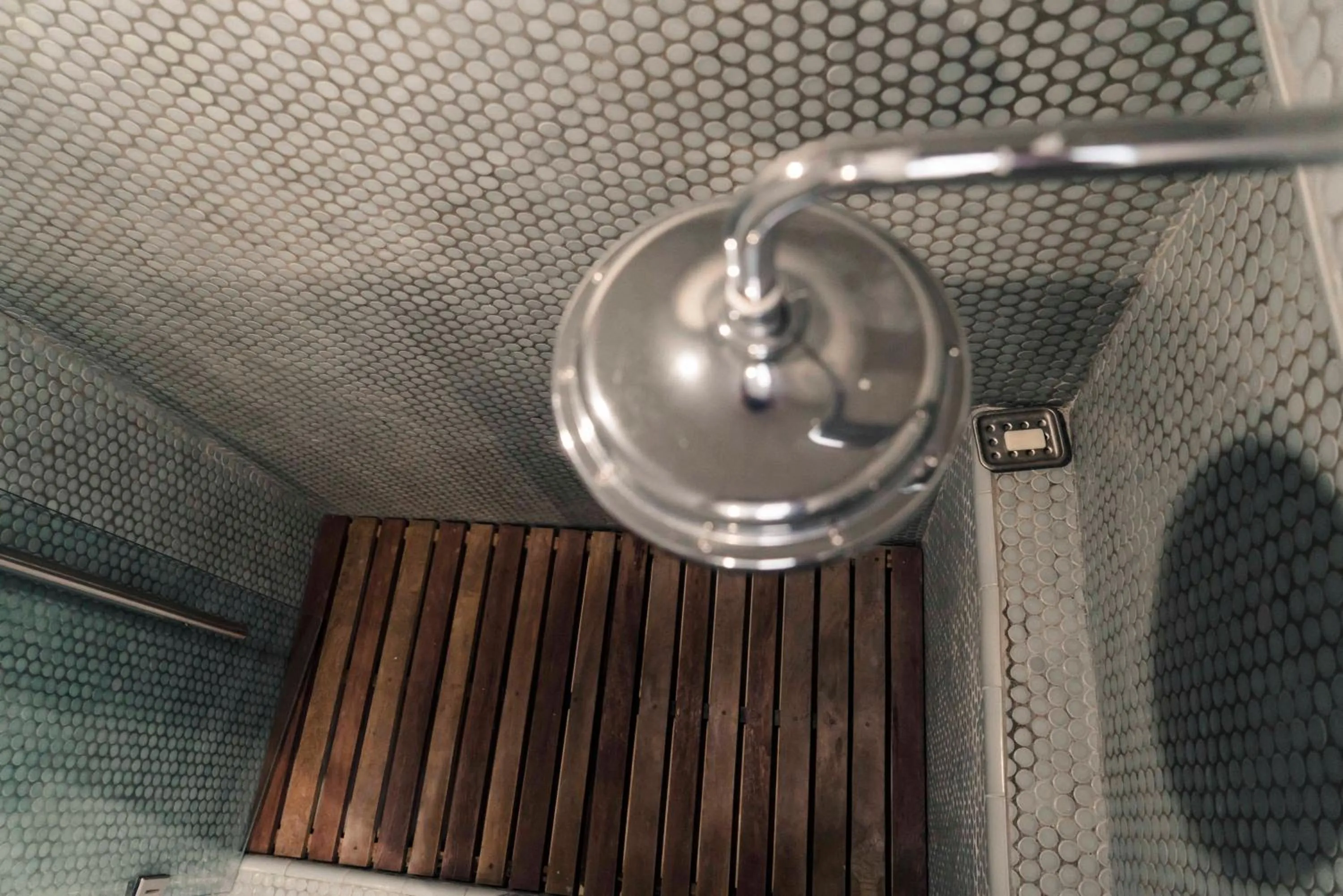 Canela Fina - Adults Only