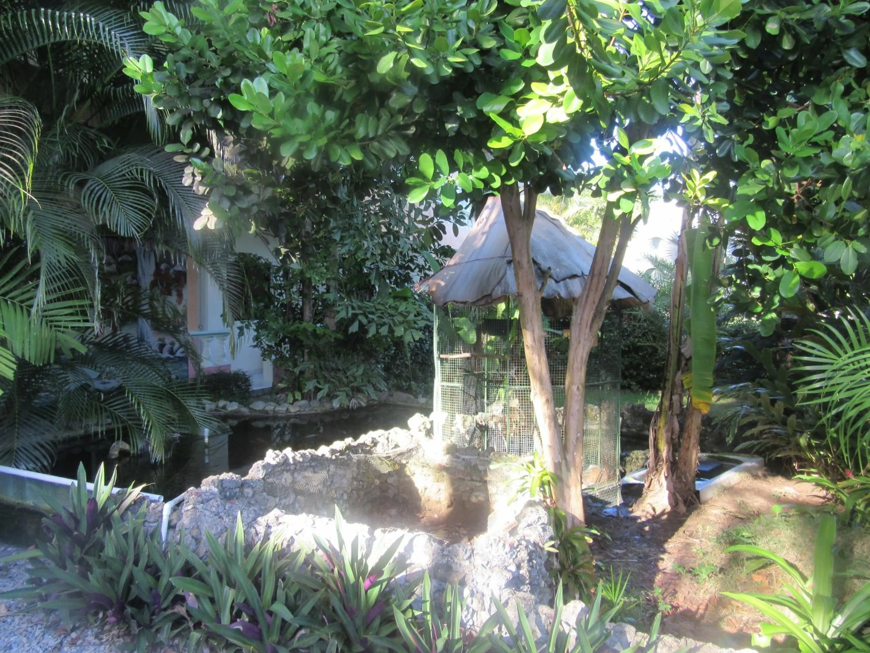Garden in Hotel Cambri