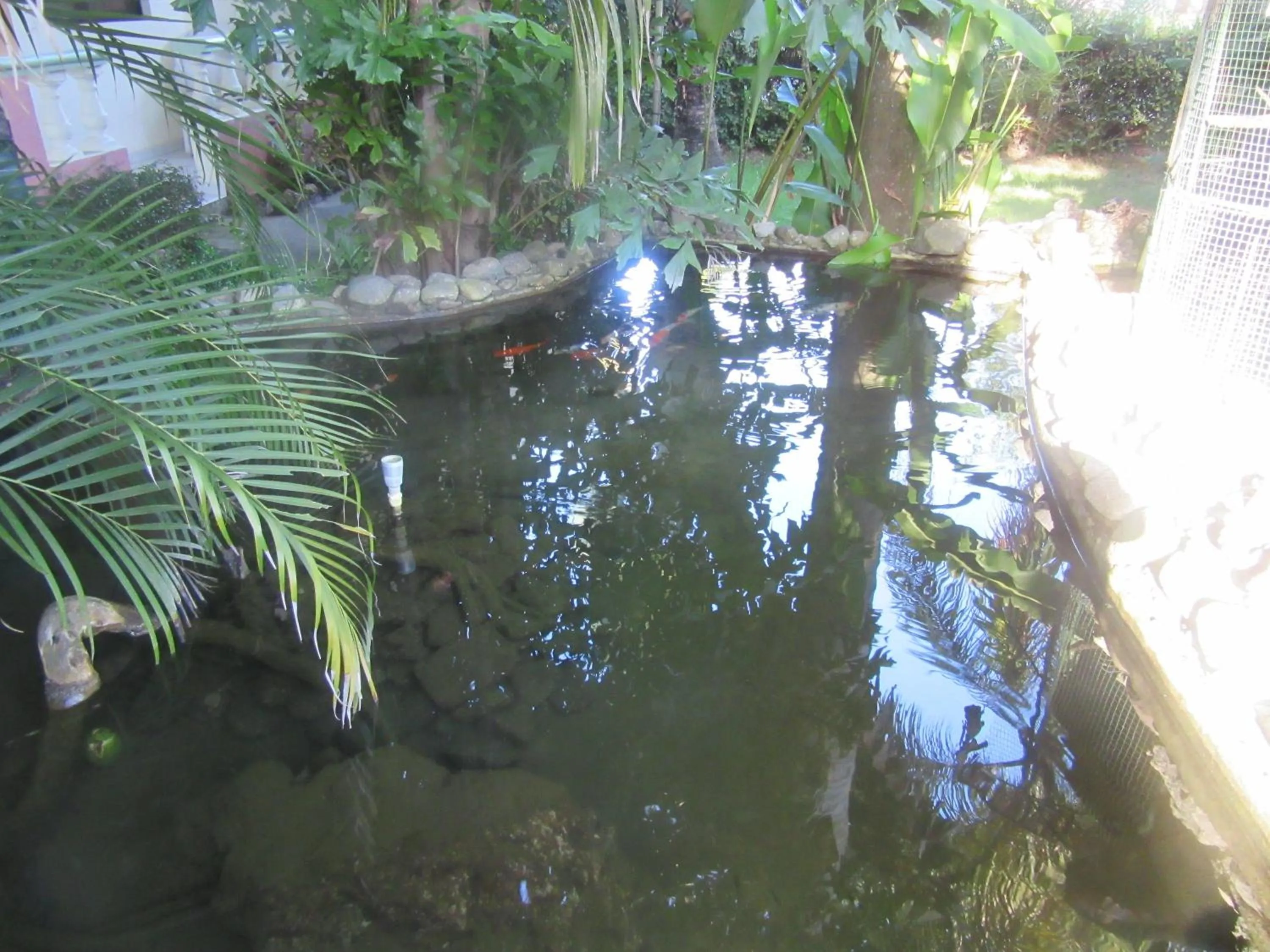 Garden in Hotel Cambri