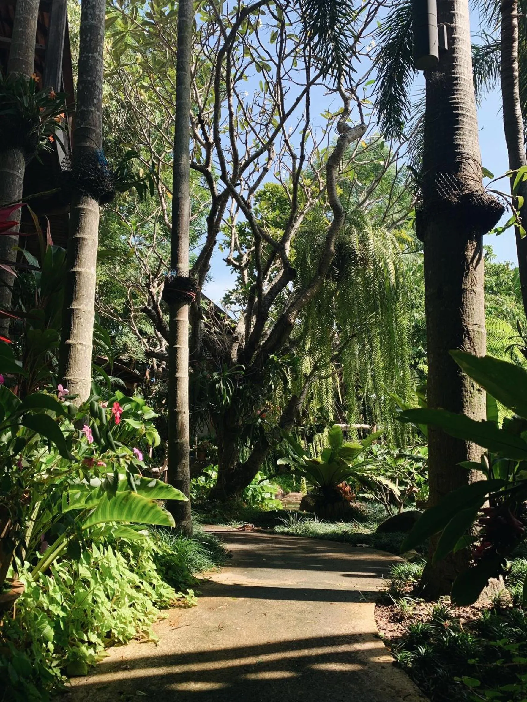 Garden in Baansuwanburi - บ้านสุวรรณบุรี