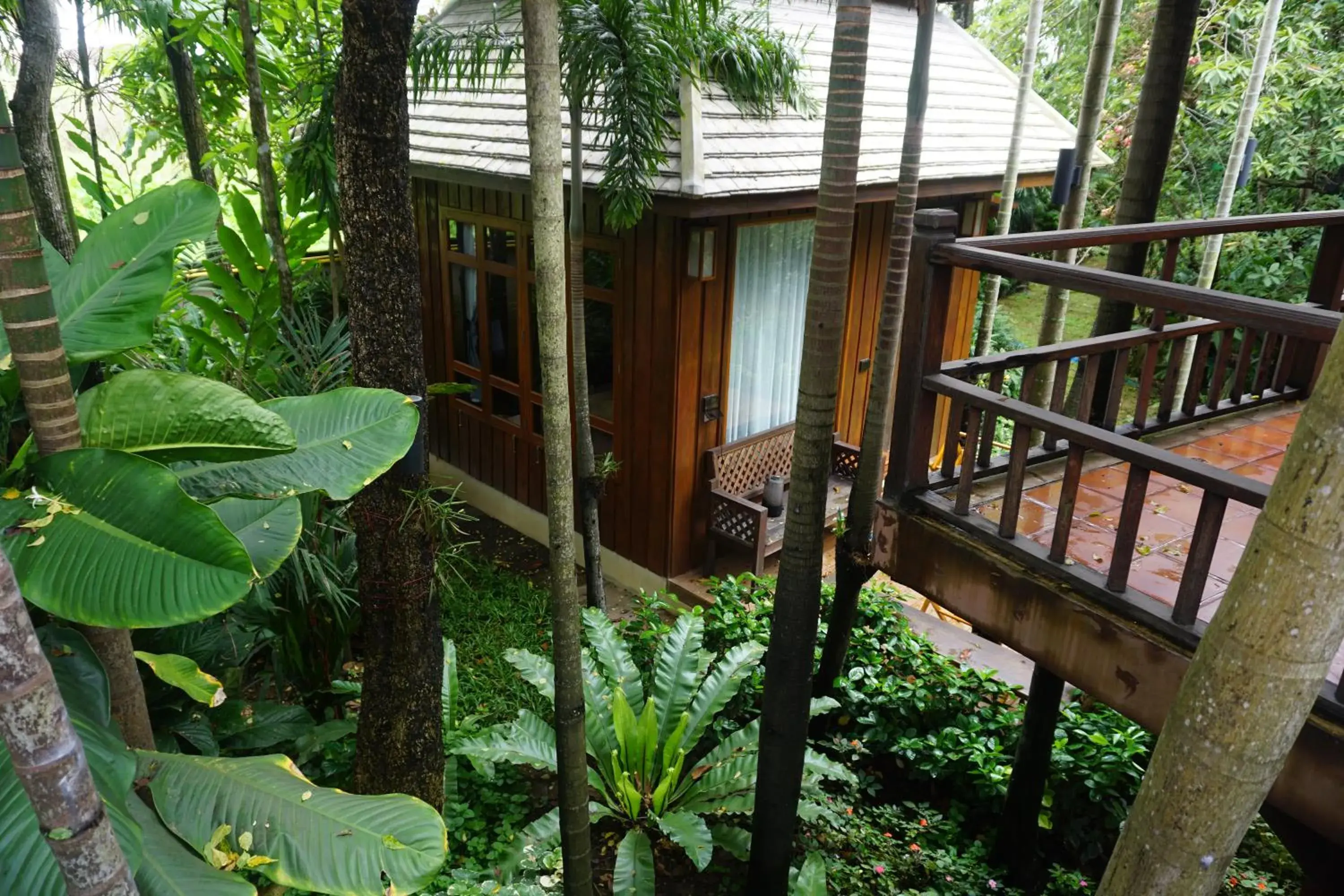Garden view in Baansuwanburi - บ้านสุวรรณบุรี Garden view in Baansuwanburi - บ้านสุวรรณบุรี