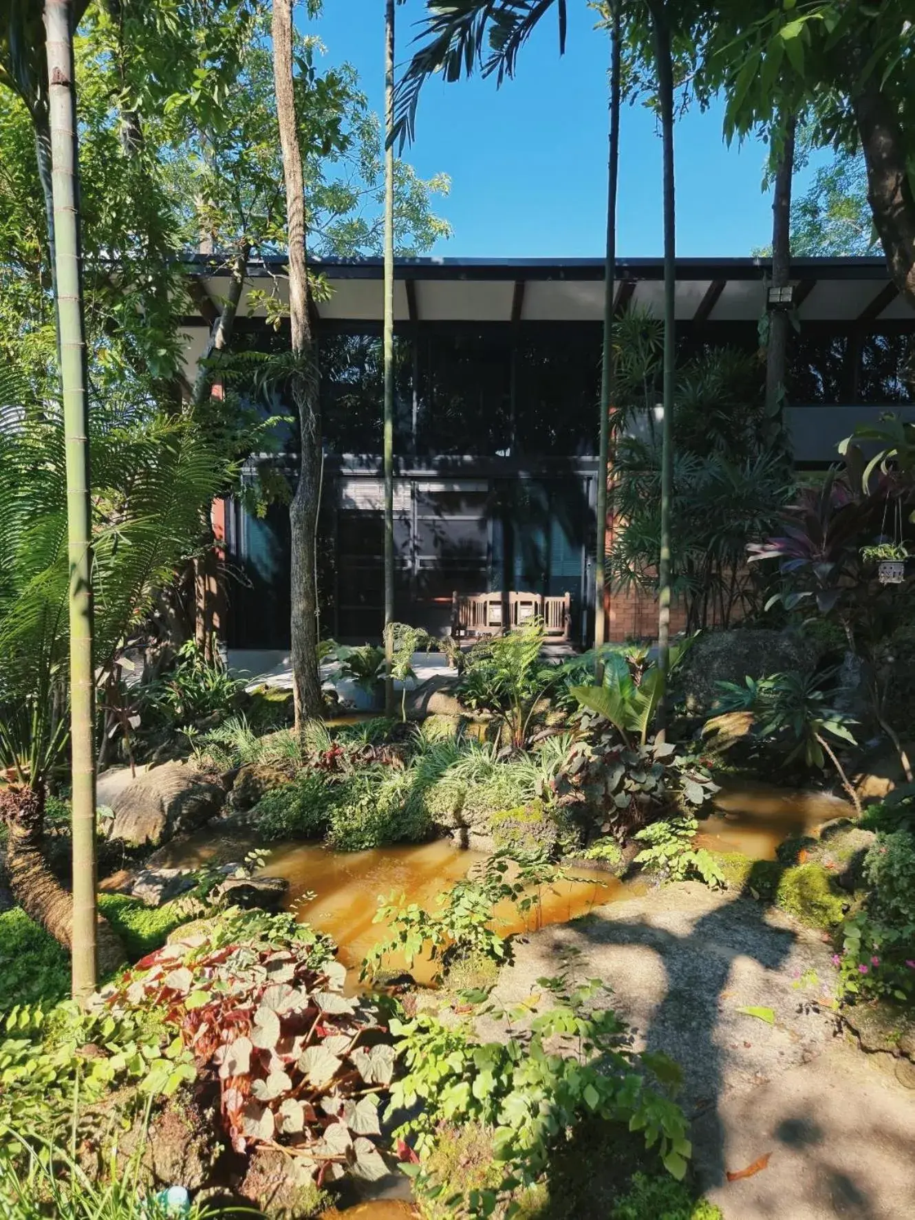 Garden view in Baansuwanburi - บ้านสุวรรณบุรี Garden view in Baansuwanburi - บ้านสุวรรณบุรี