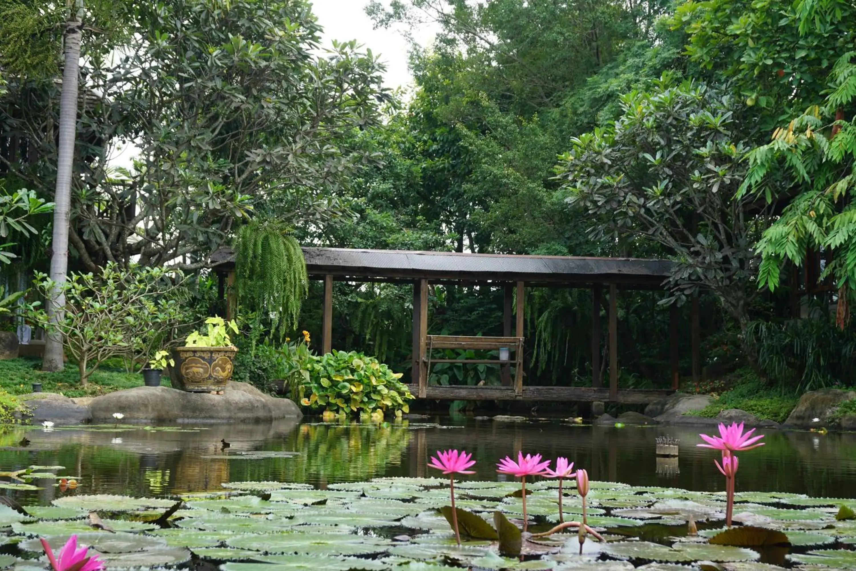 Garden view in Baansuwanburi - บ้านสุวรรณบุรี Garden view in Baansuwanburi - บ้านสุวรรณบุรี